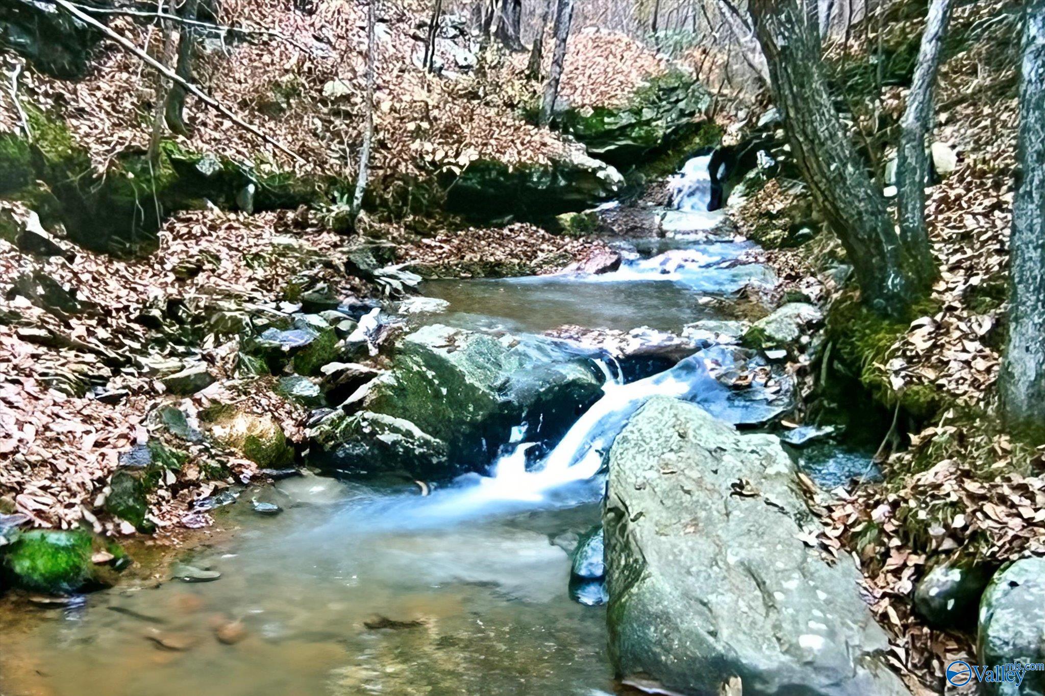 11751 US Highway 278