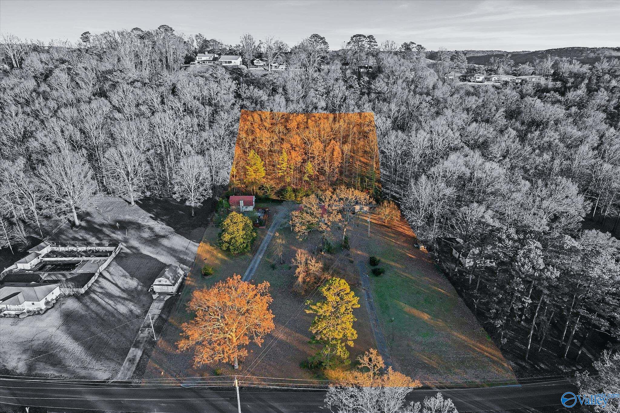 3009 Willow Beach Road