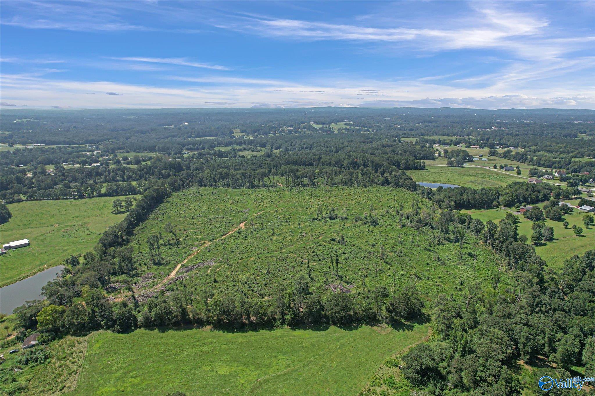 69+/- Acres Beulah Road
