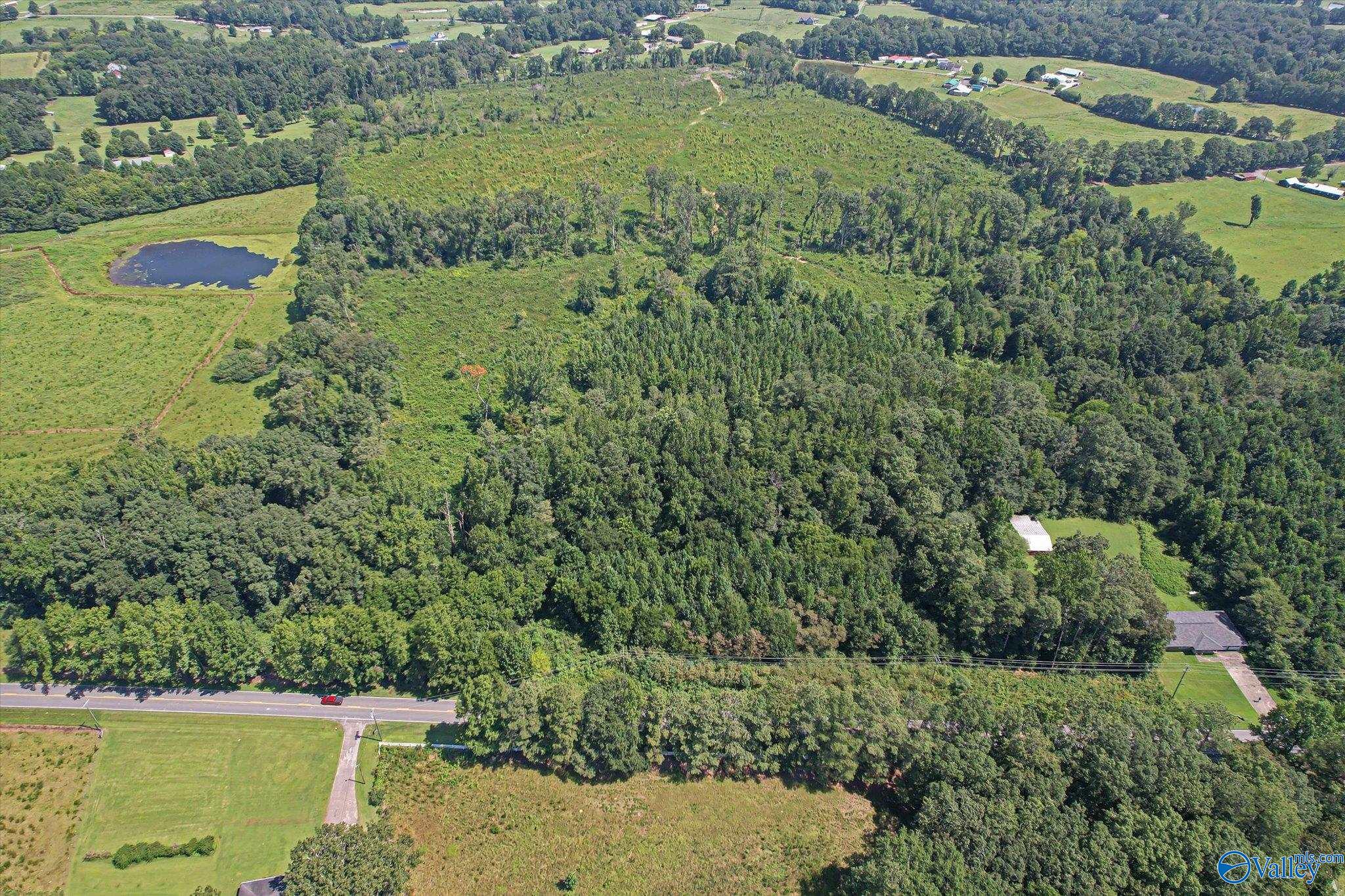 69+/- Acres Beulah Road