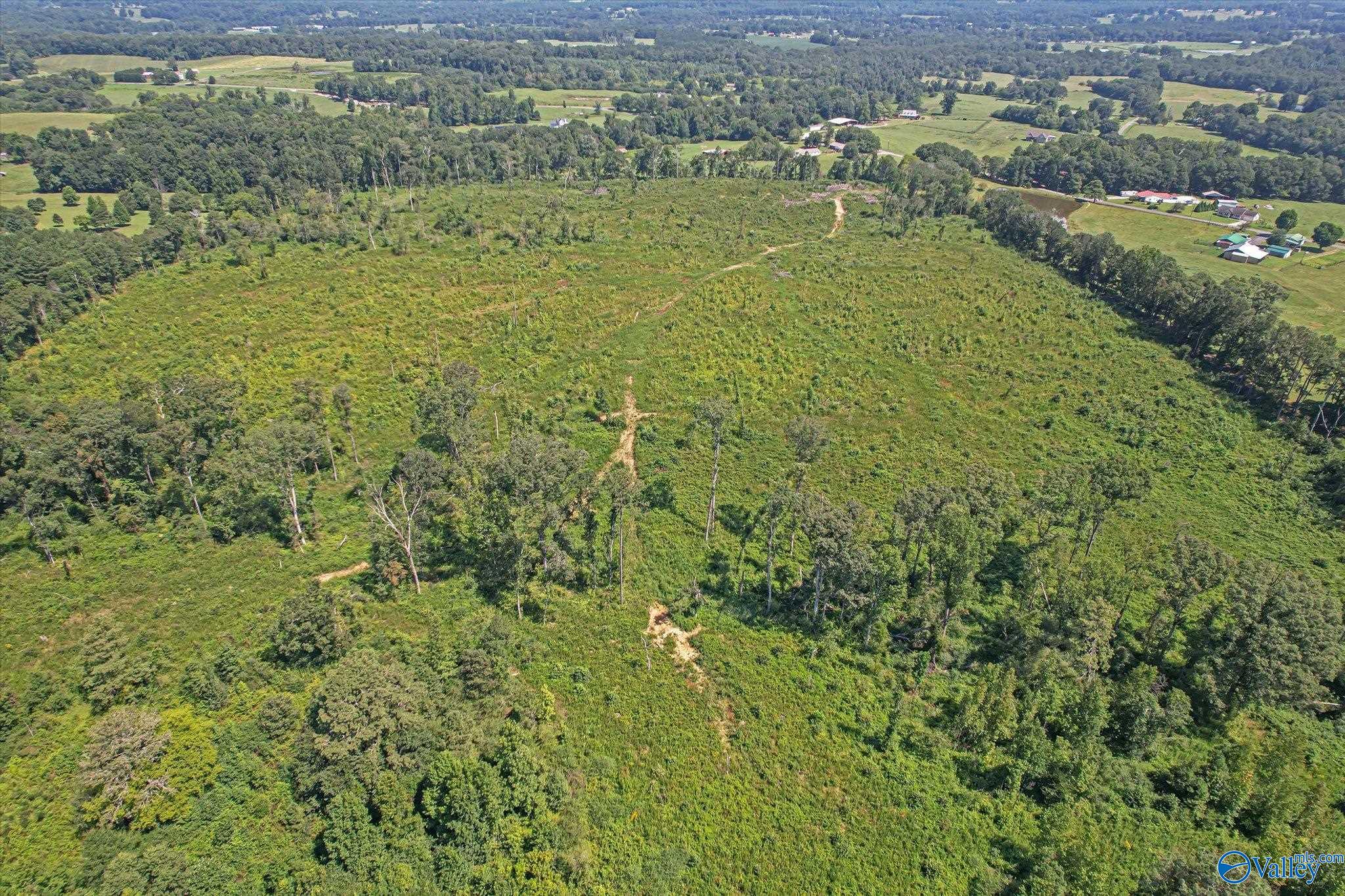 69+/- Acres Beulah Road
