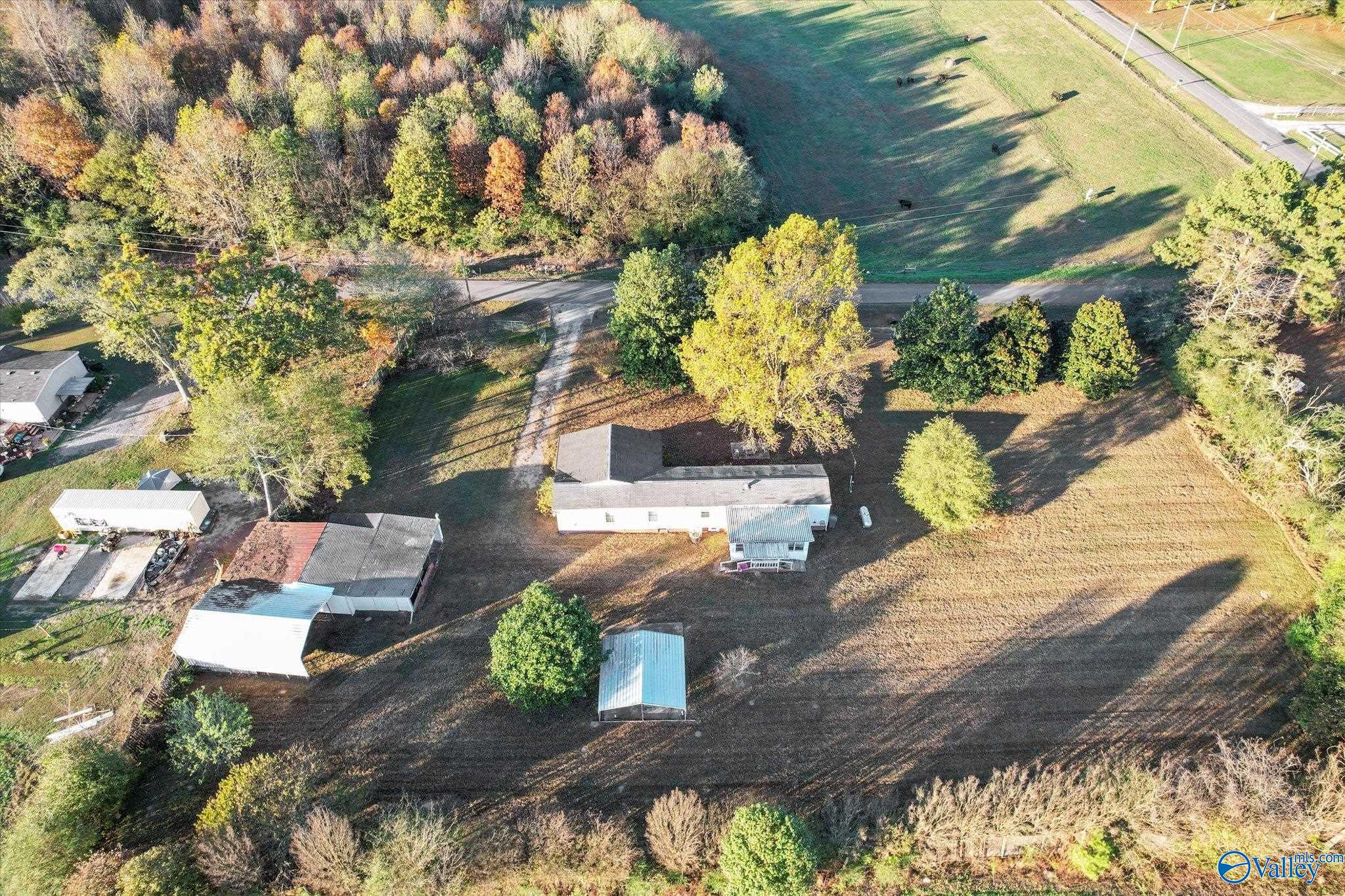 1004 Wolf Creek Road