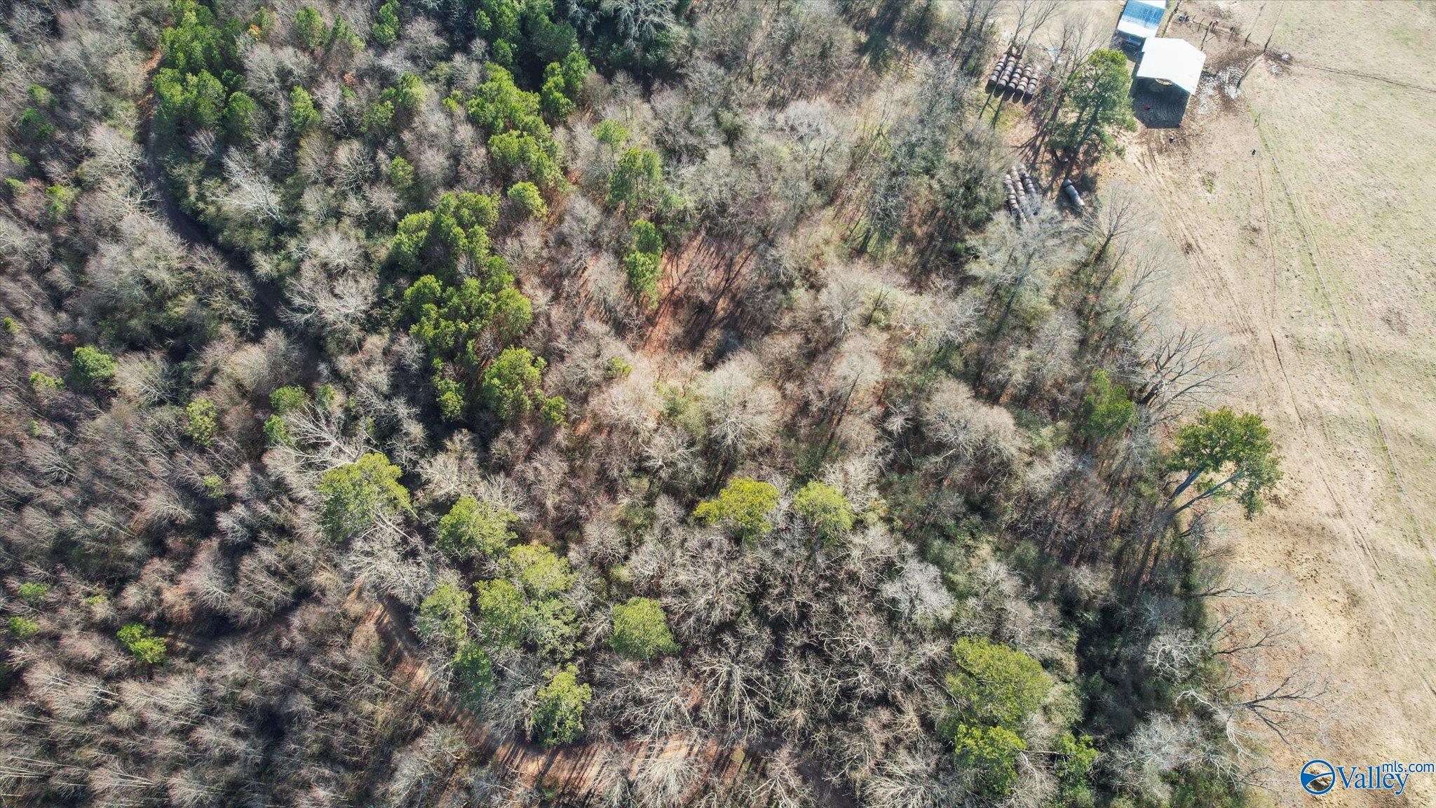 14.3 acres Needmore Road