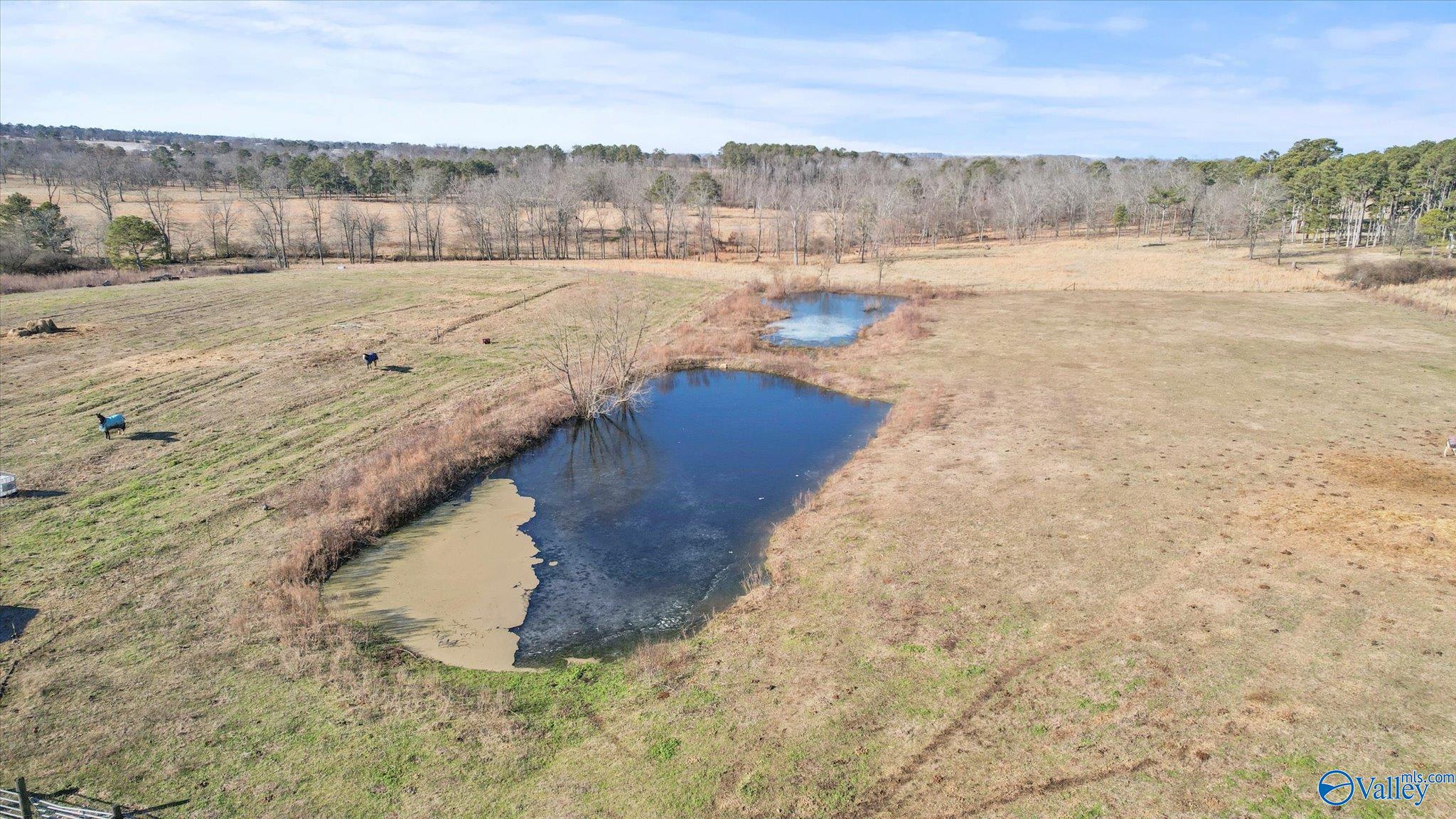 8331 Highway 179