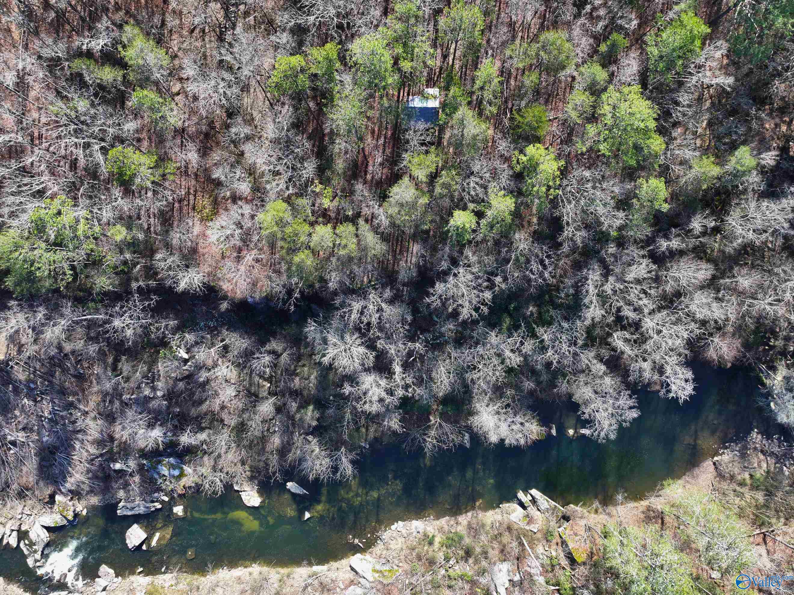 34 acres Hustleville Road