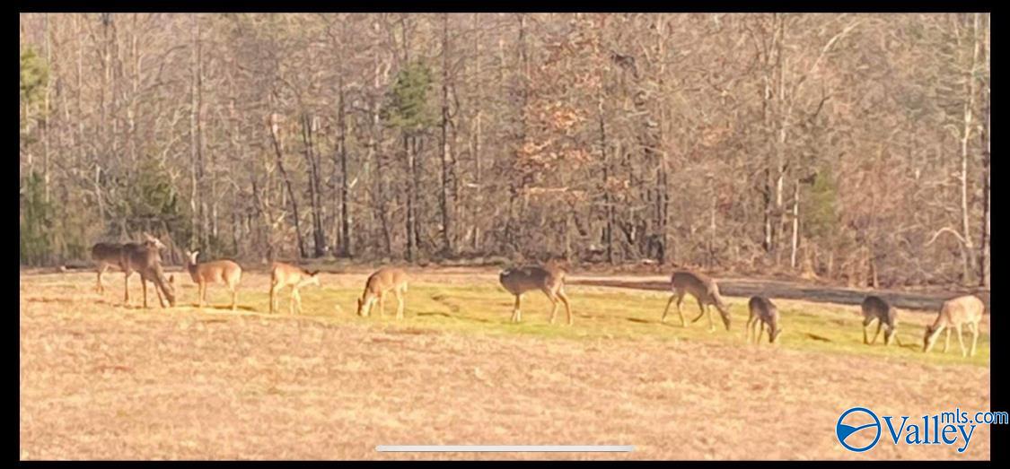 5477 Wyeth Mountain Road