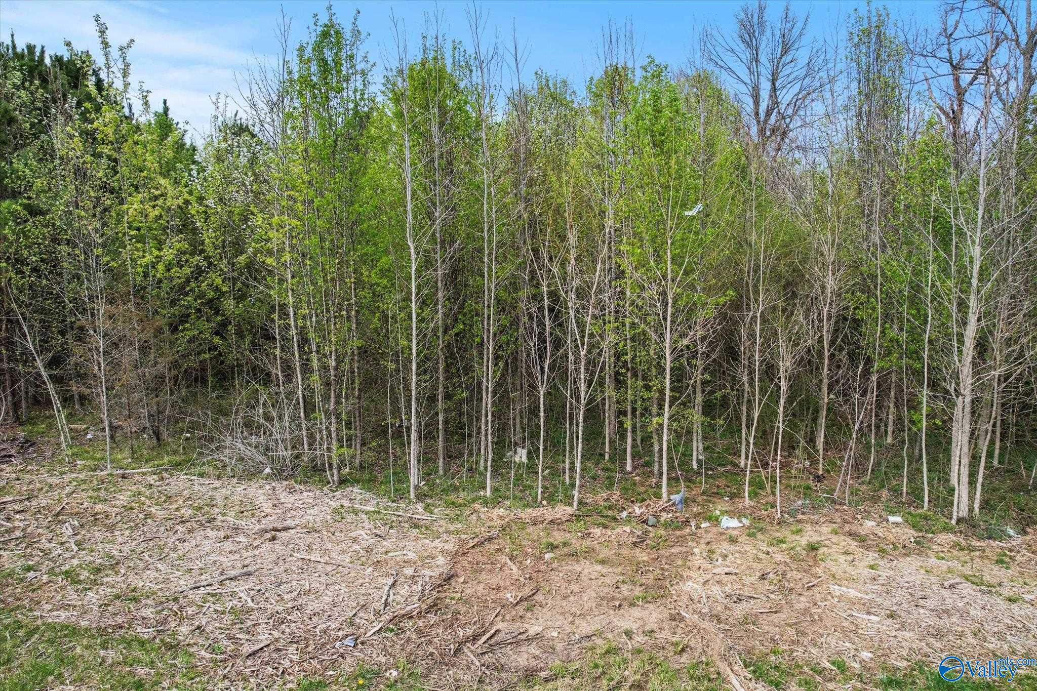 1046 Alabama Highway 69