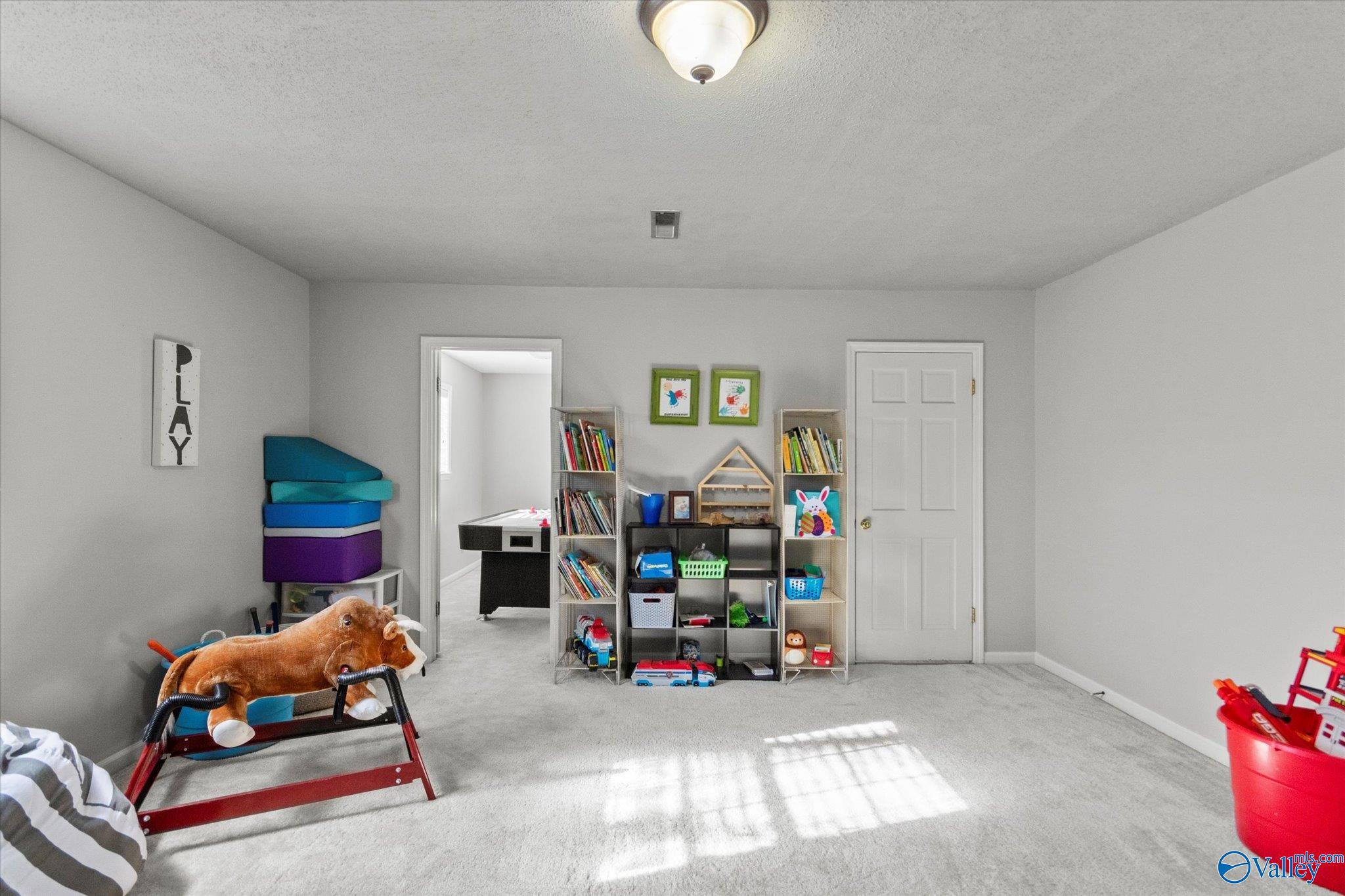 217 Collier Drive
