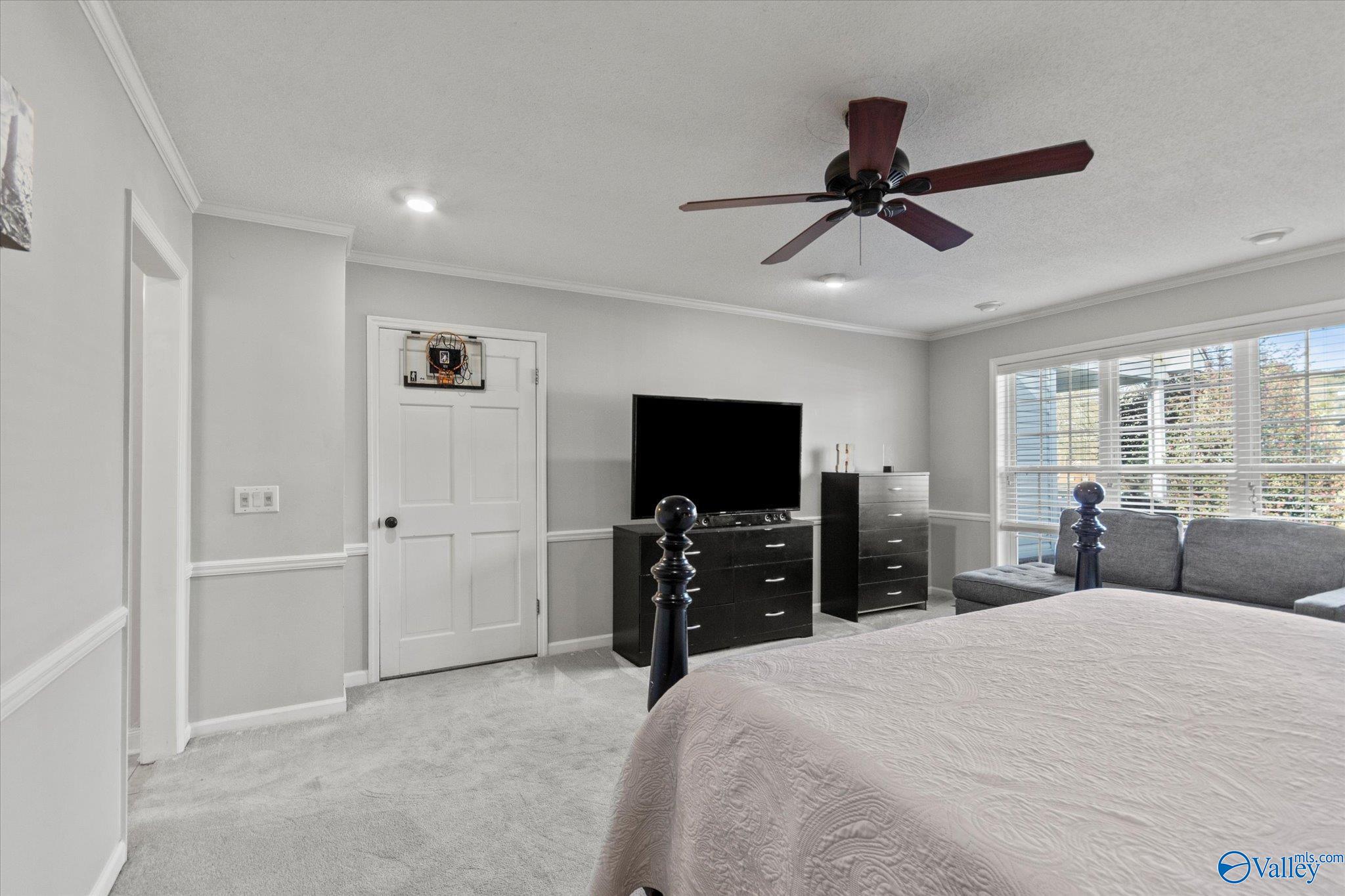 217 Collier Drive