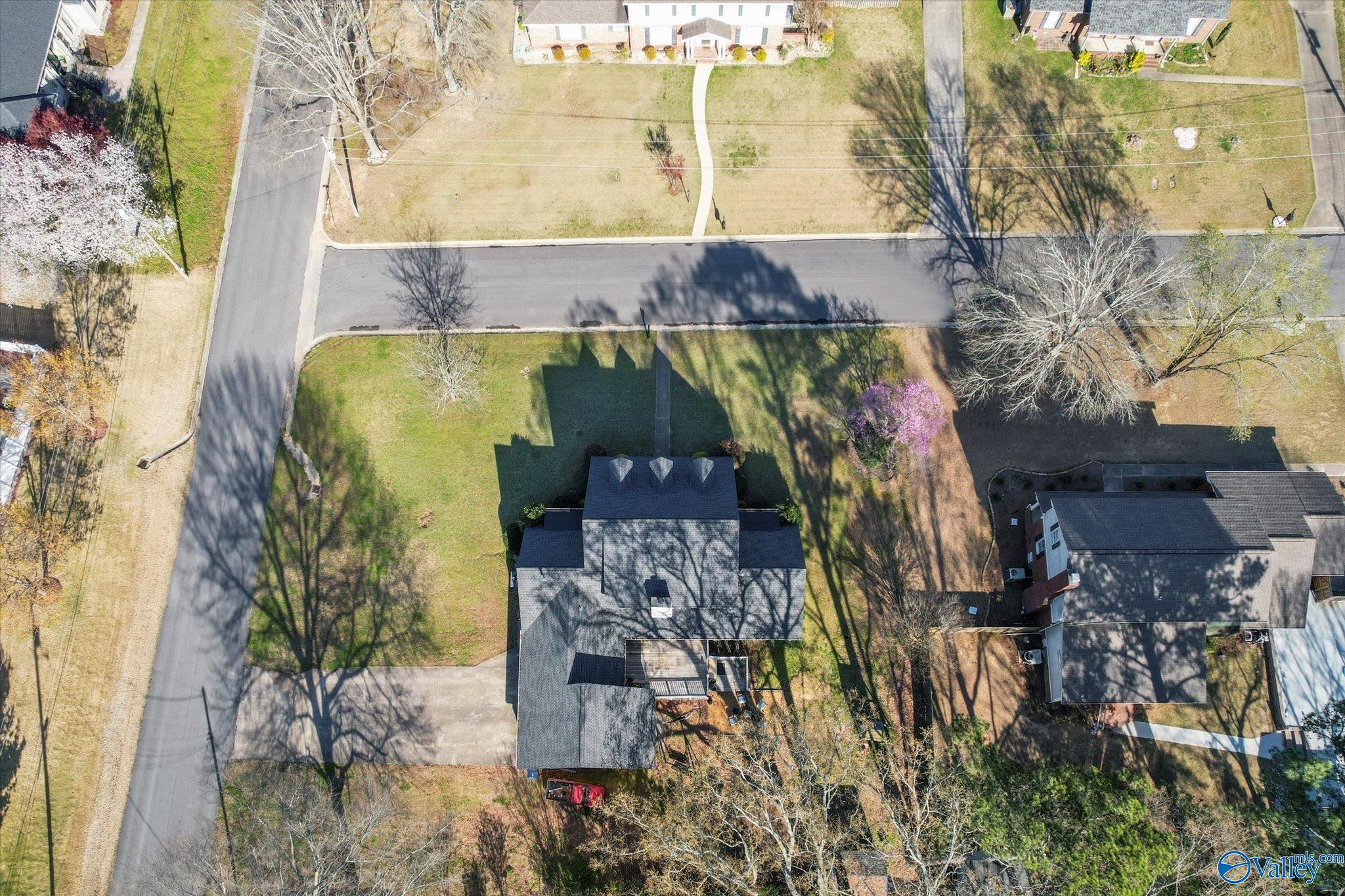 217 Collier Drive