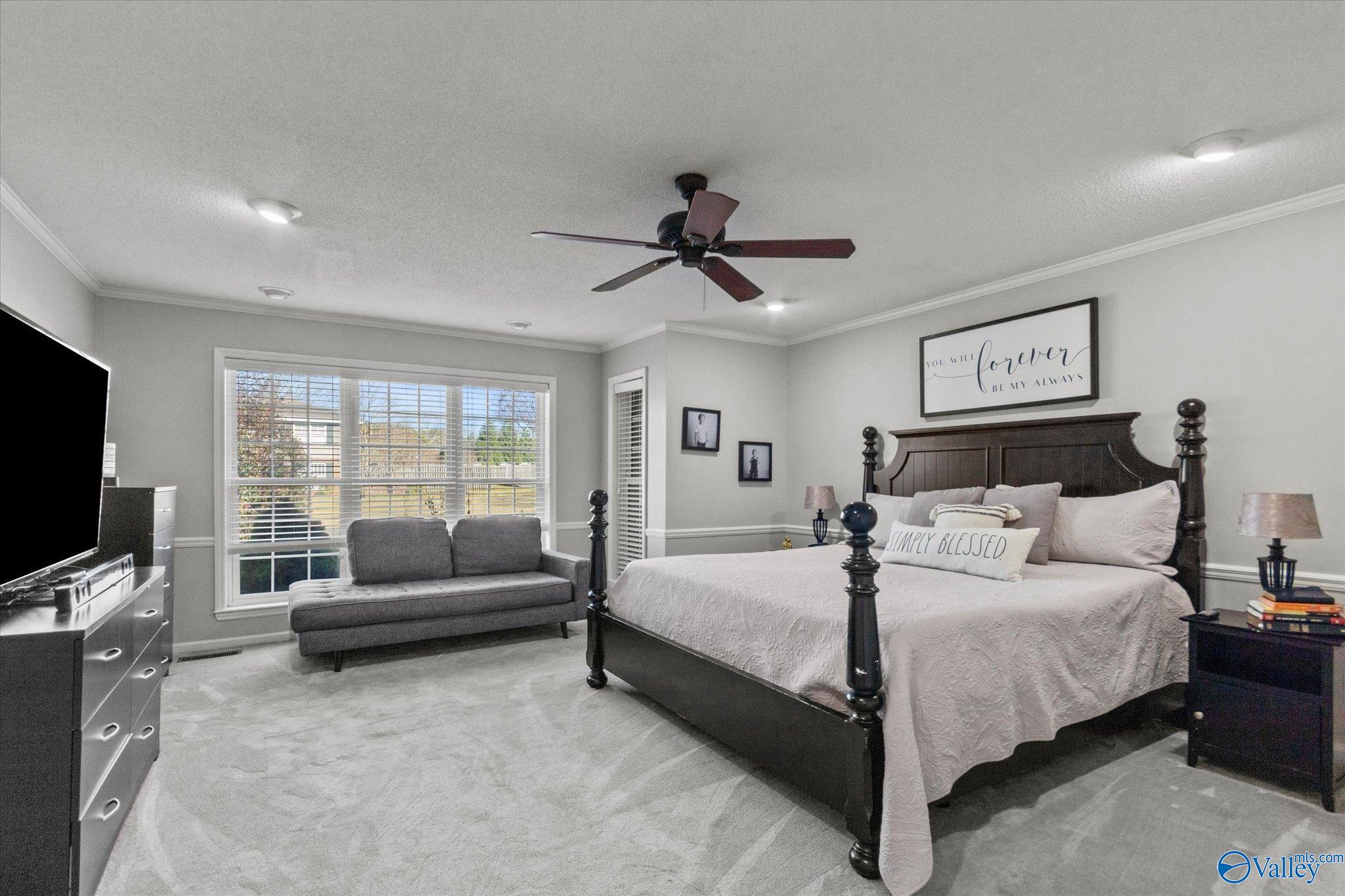 217 Collier Drive