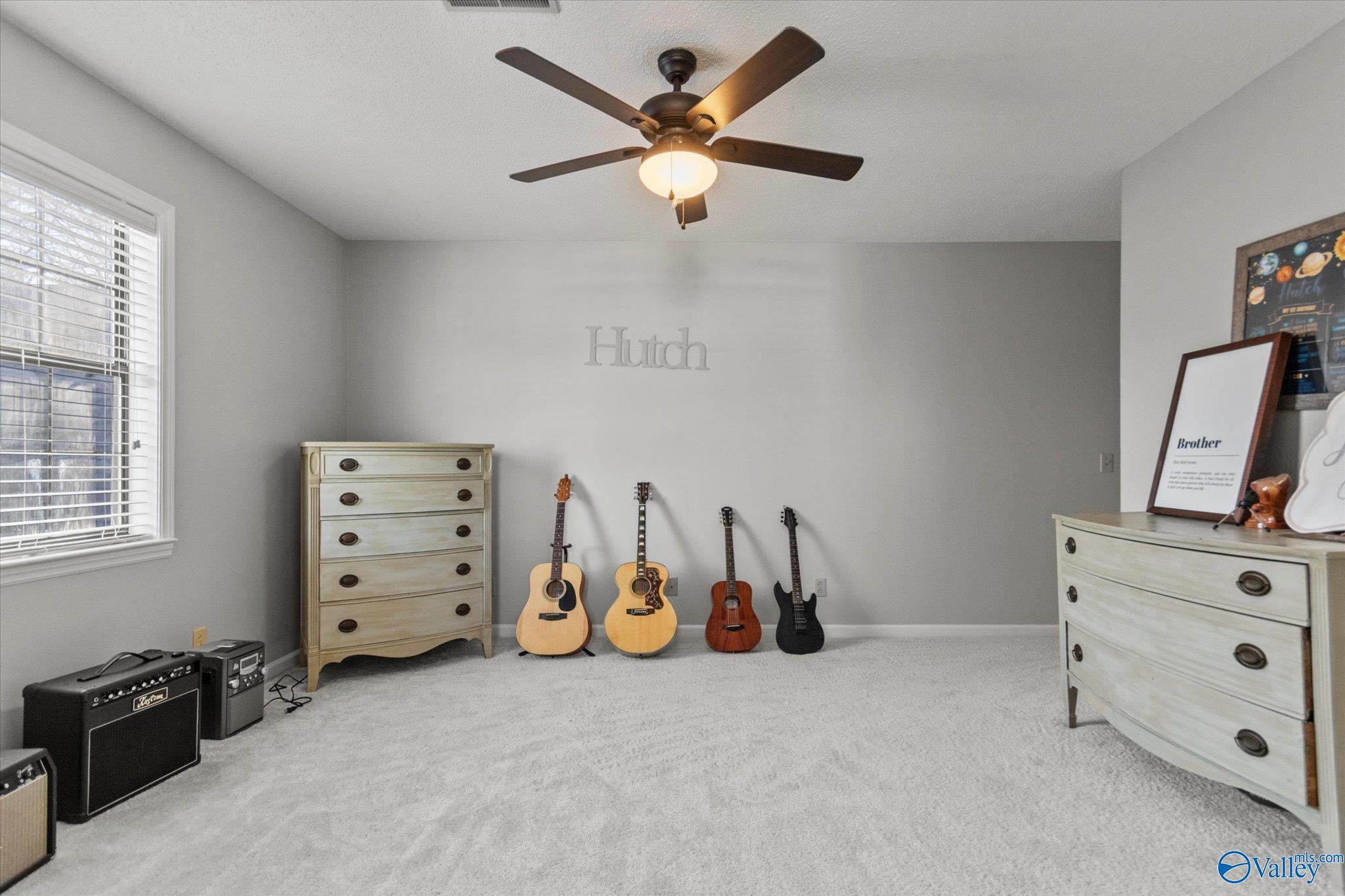 217 Collier Drive