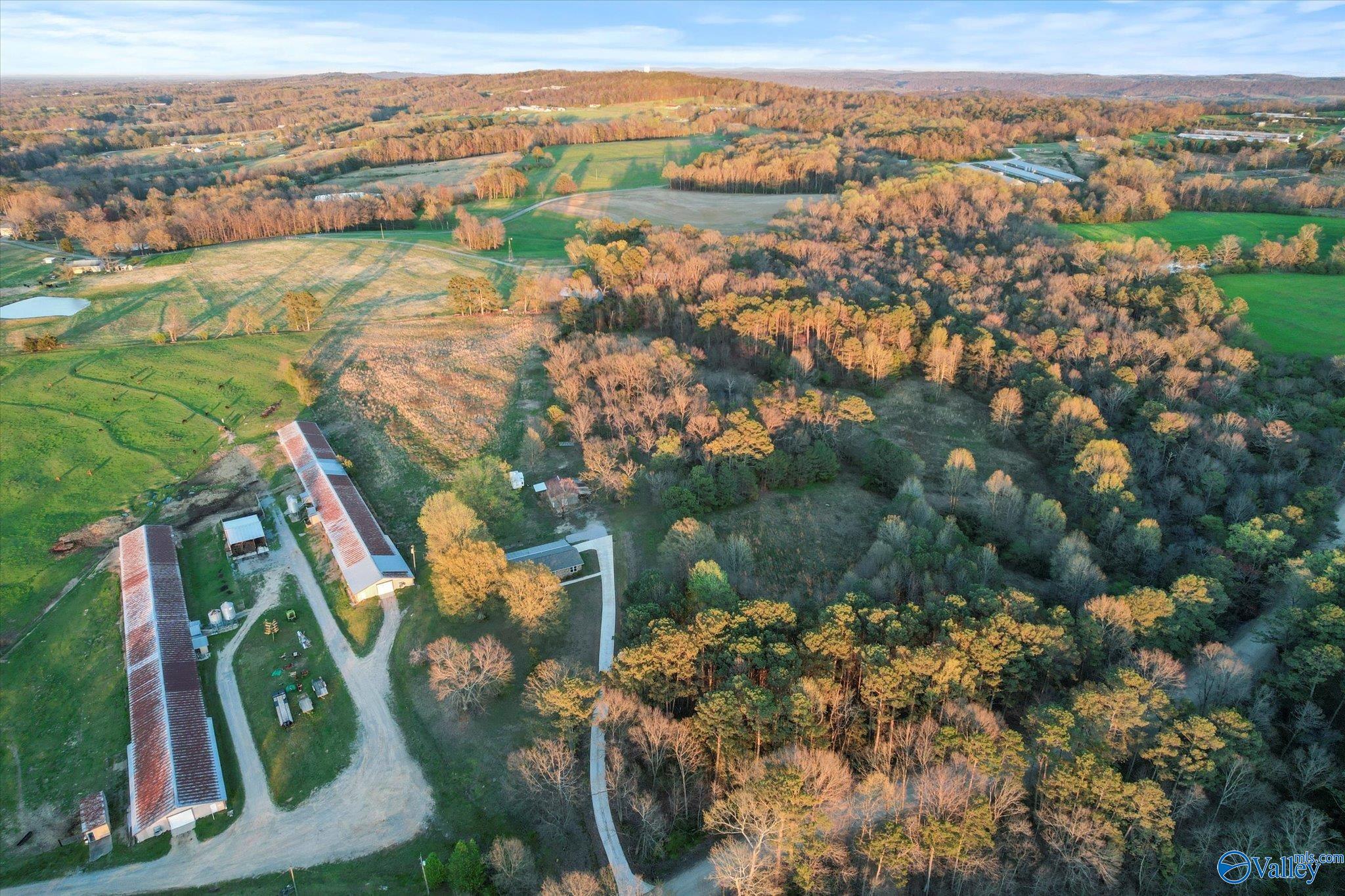 1667 Cove Spring Road