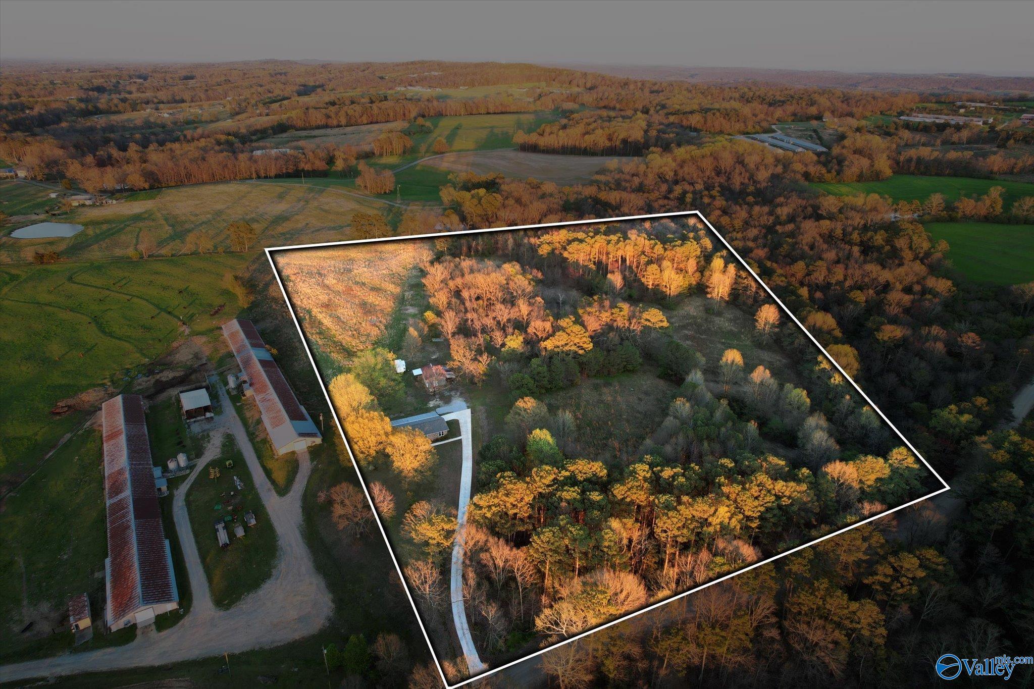 1667 Cove Spring Road