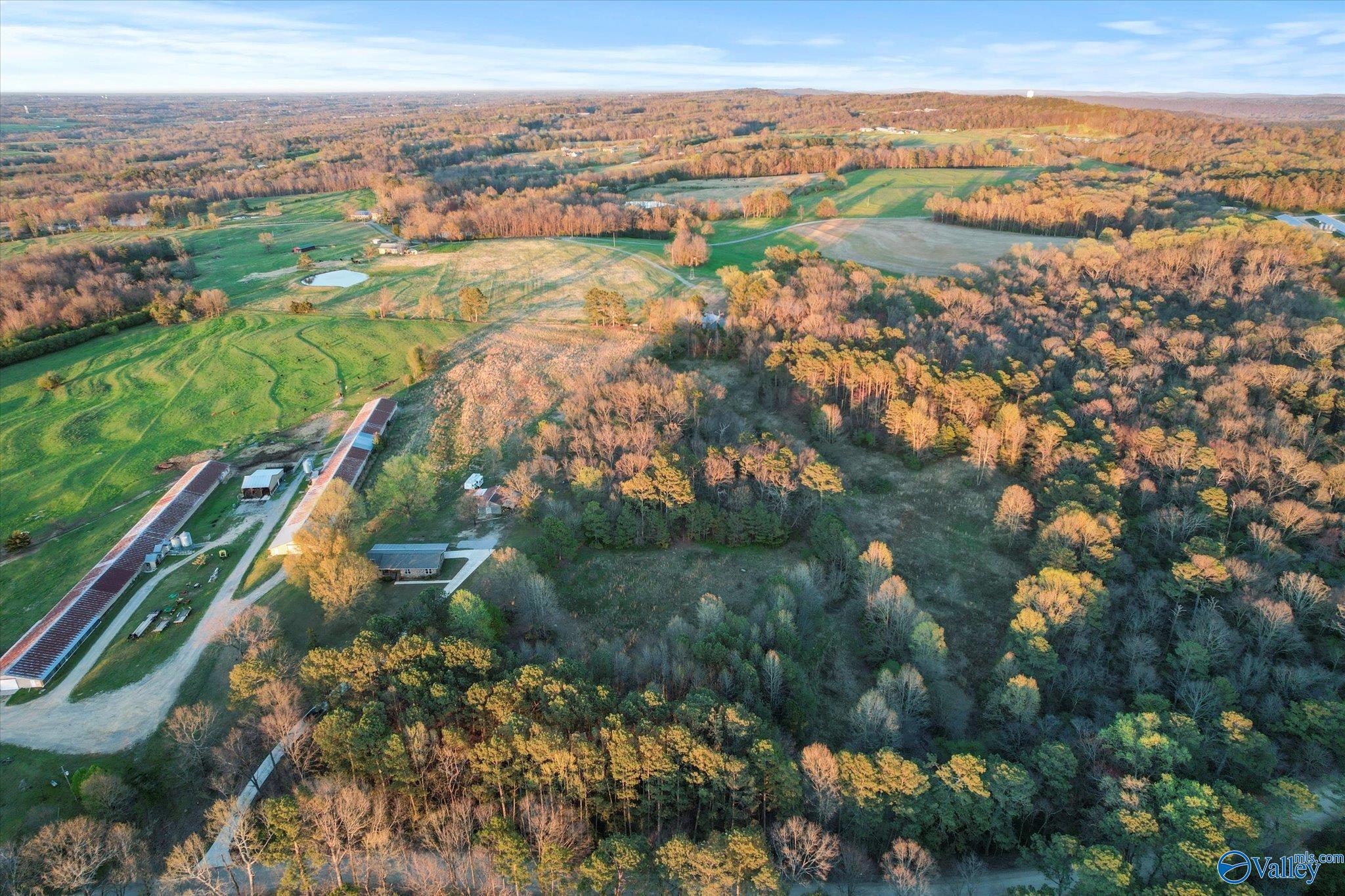 1667 Cove Spring Road