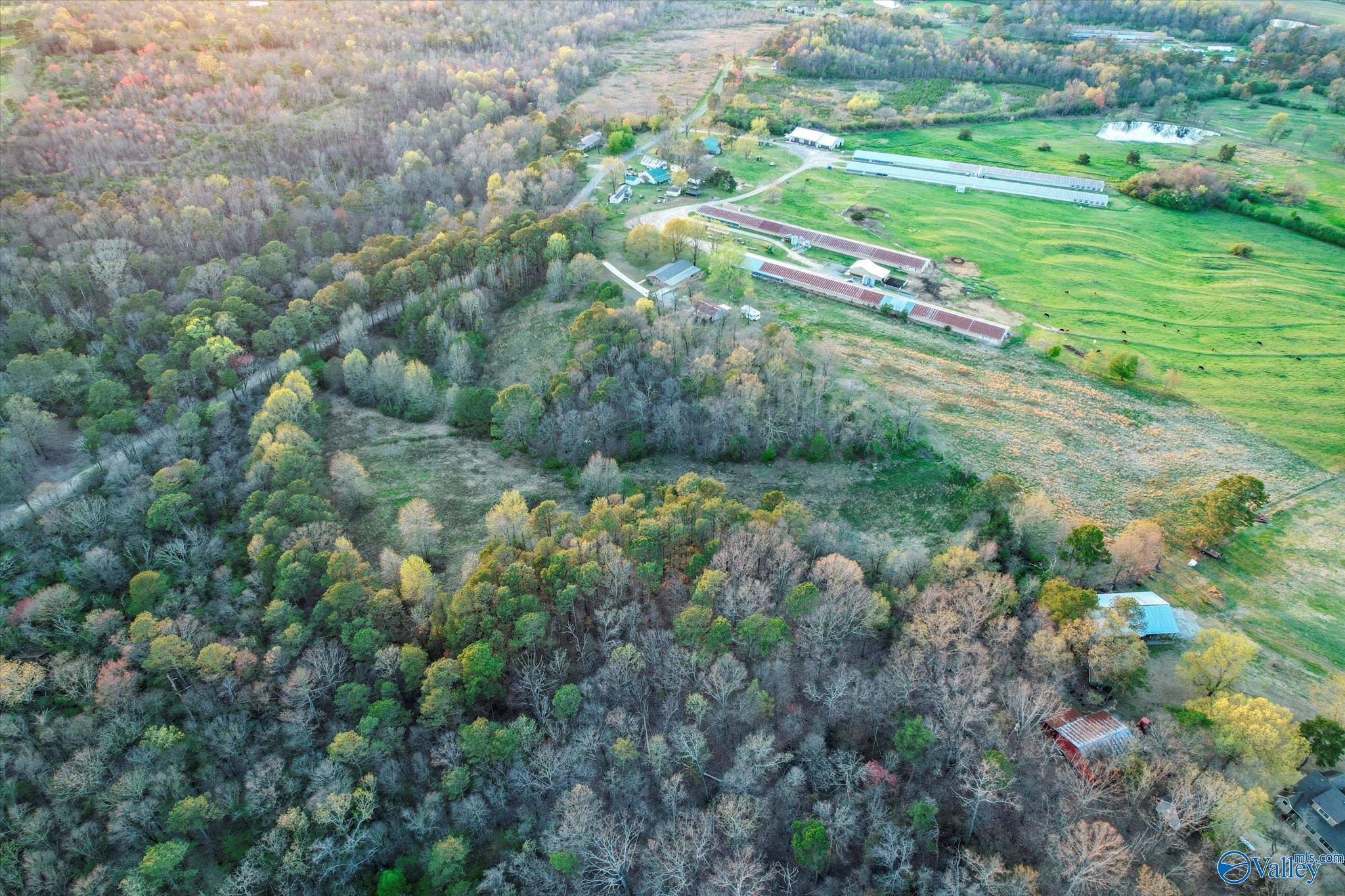 1667 Cove Spring Road