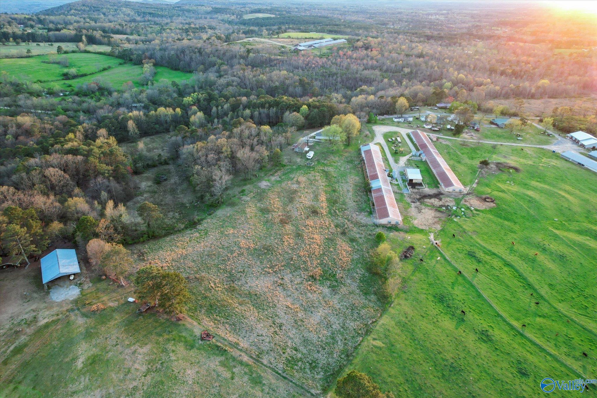 1667 Cove Spring Road