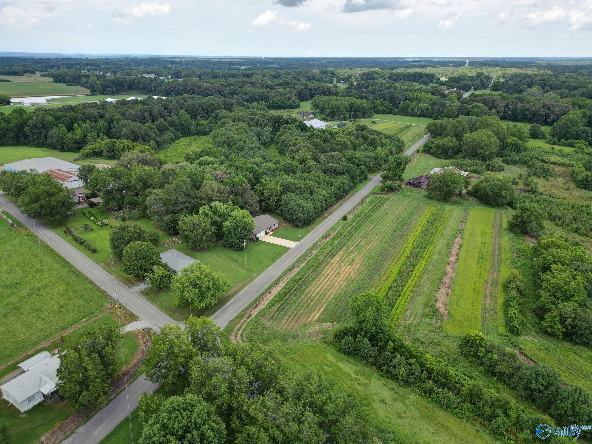3559 County Road 1570