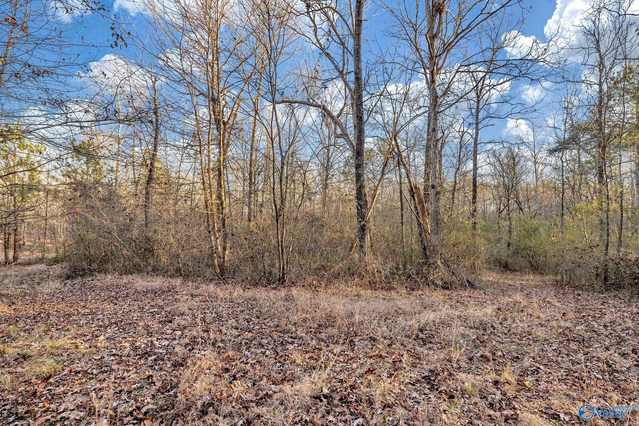 1223 County Road 359