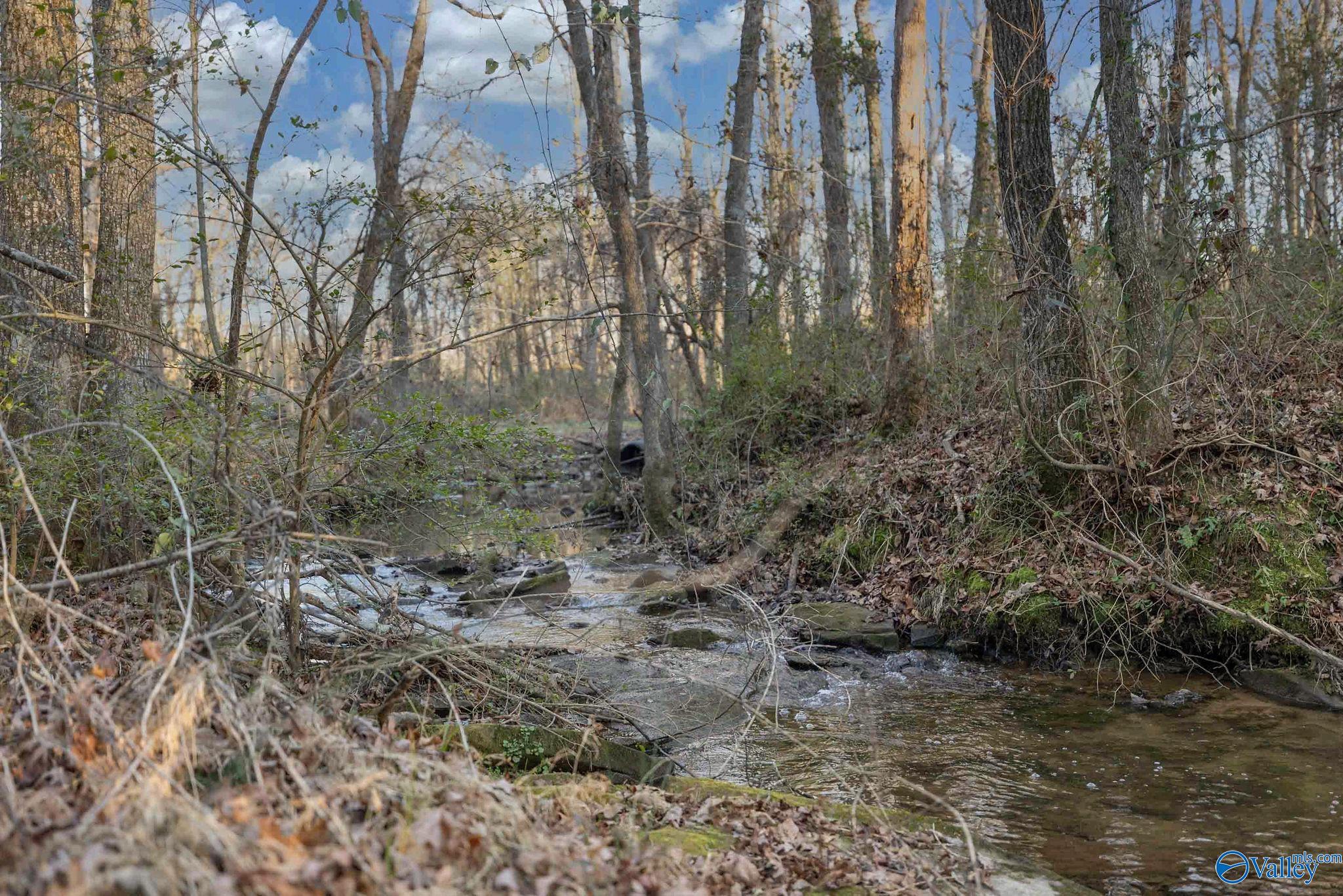 1223 County Road 359