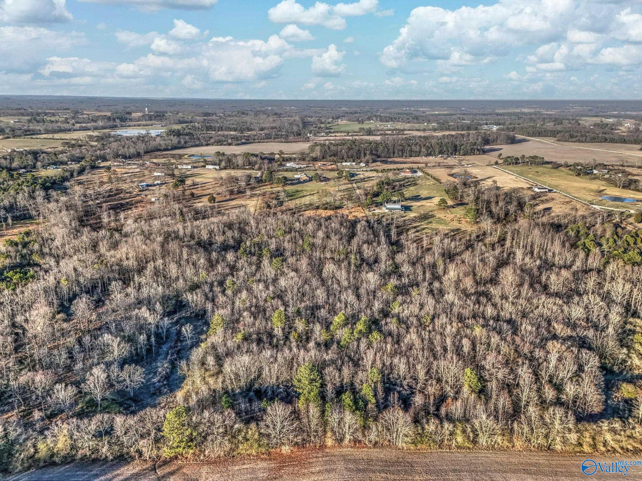 1223 County Road 359