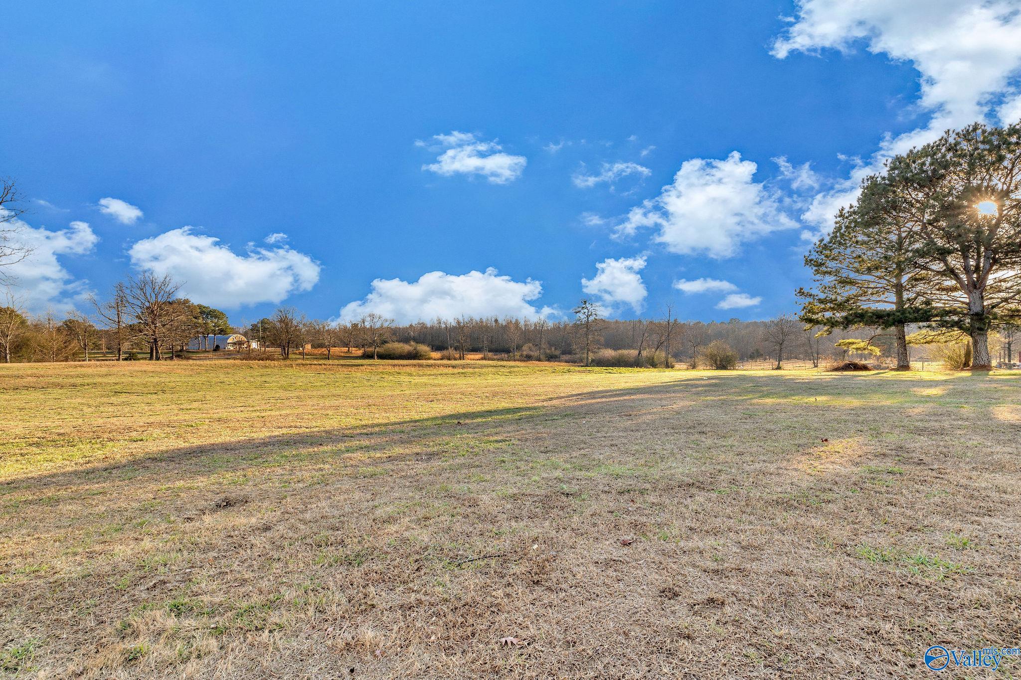 1223 County Road 359