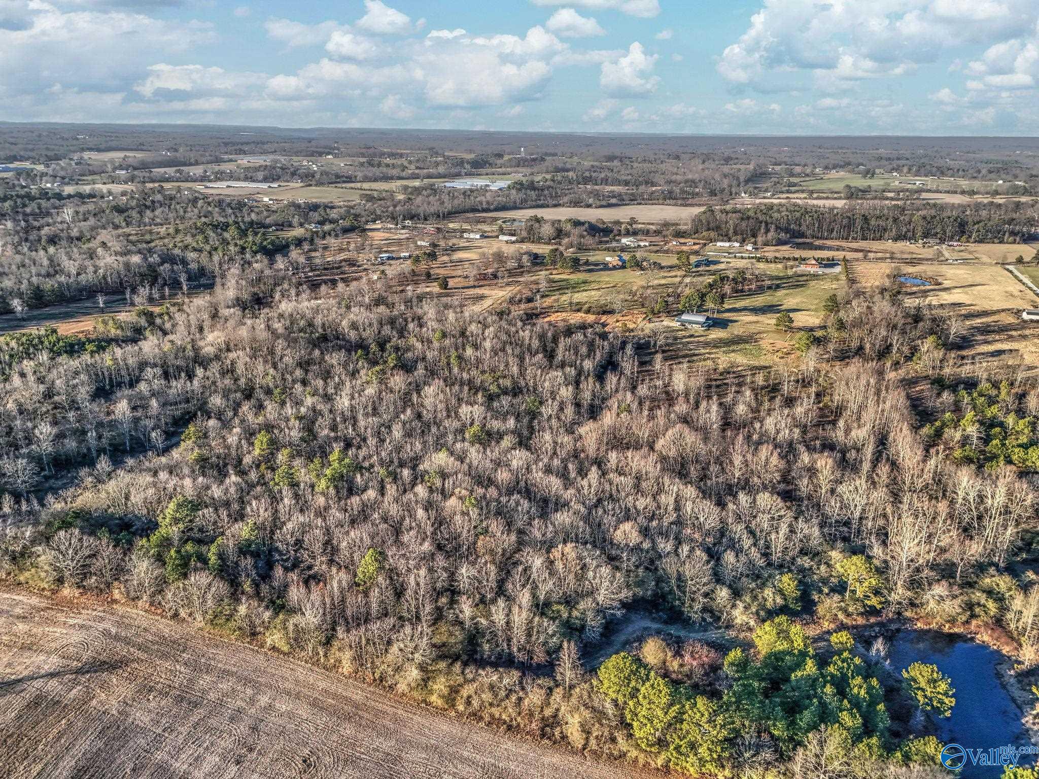 1223 County Road 359