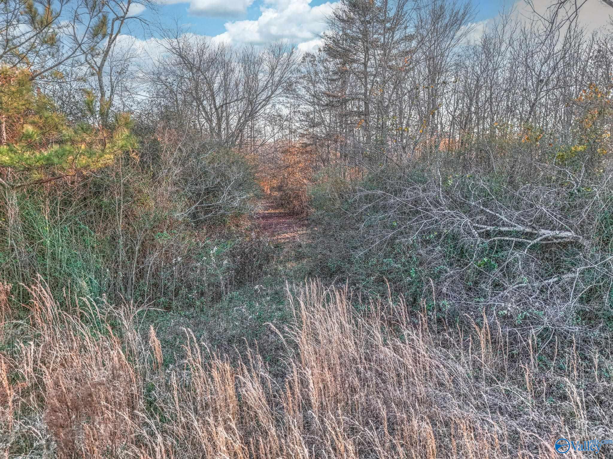 1223 County Road 359