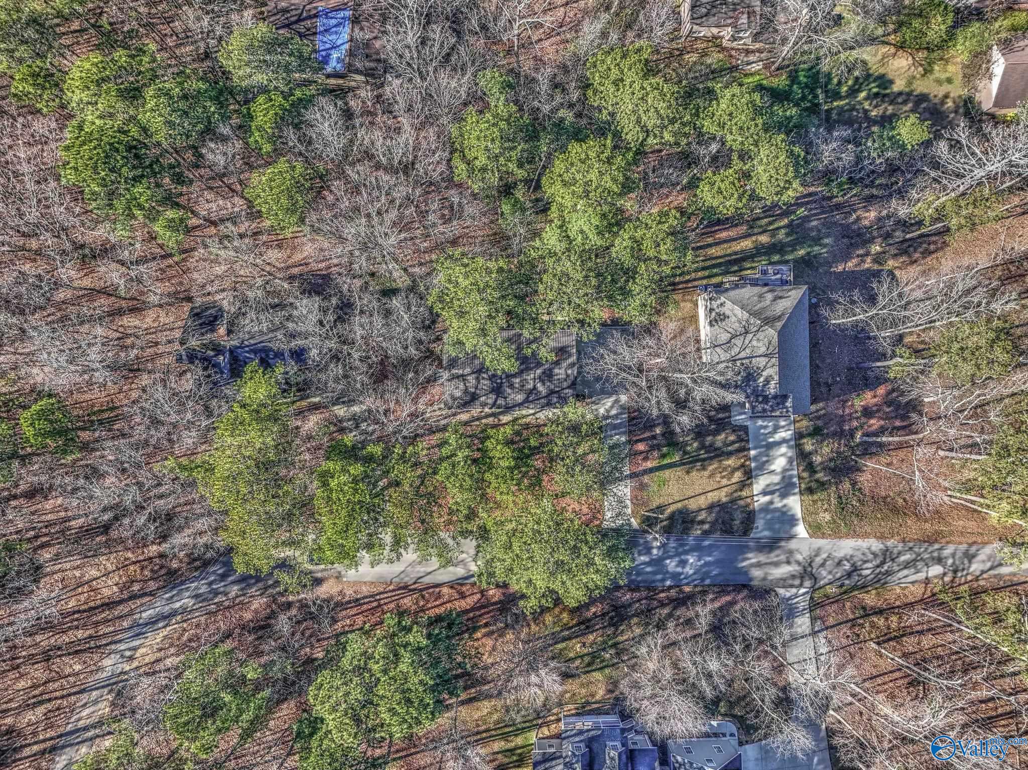 3608 Briarwood Lane