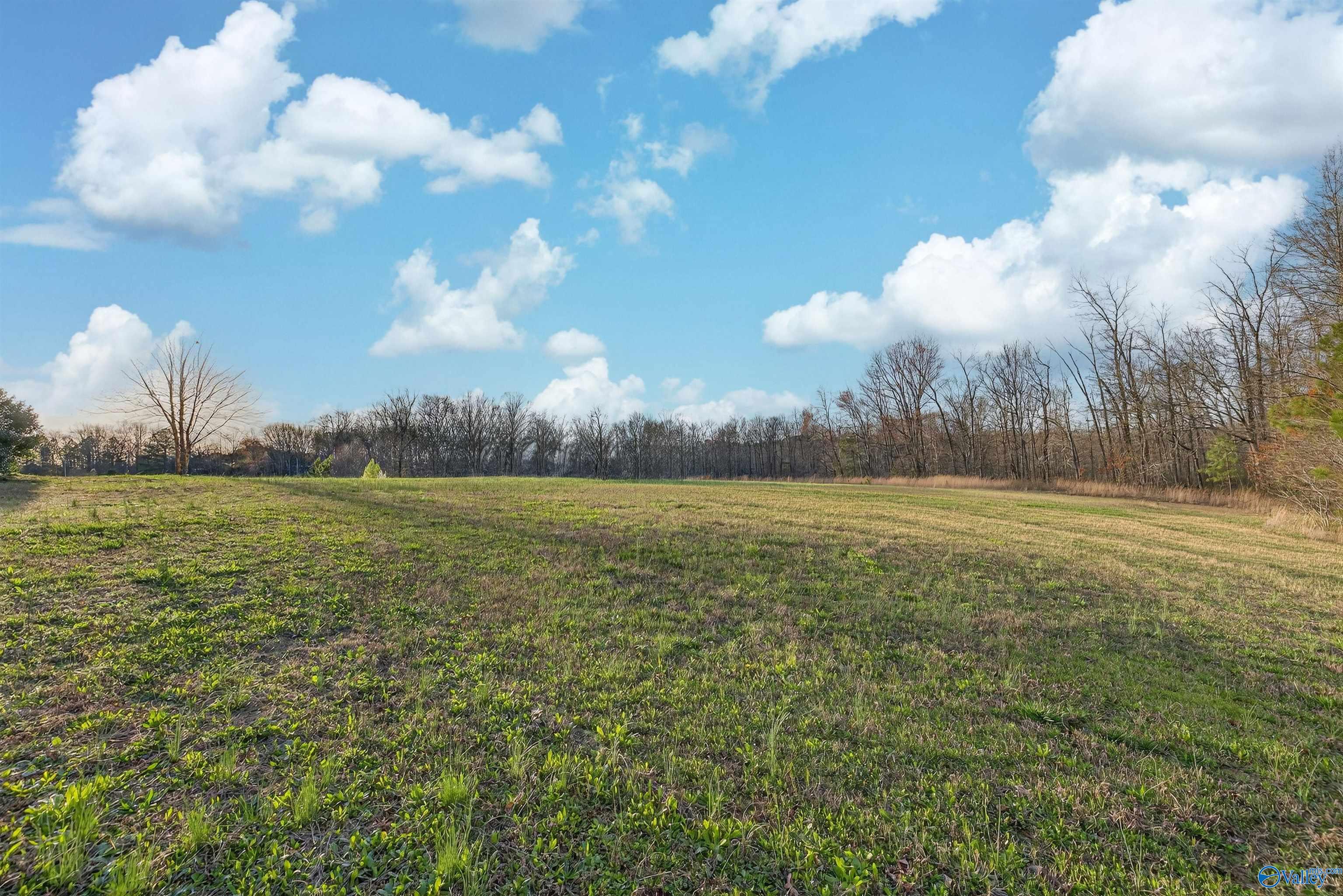 26584 Alabama Highway 79