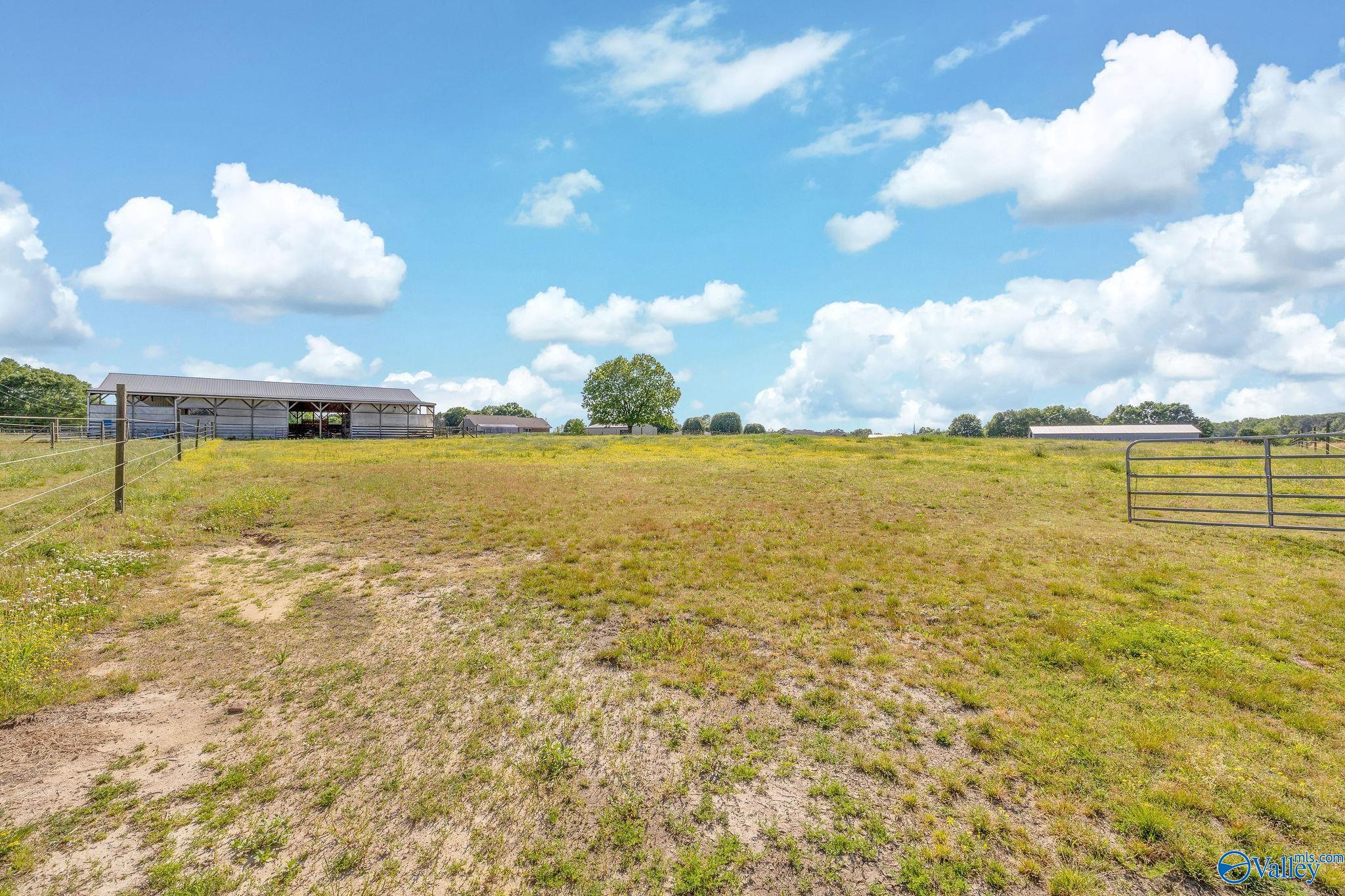 216 Hustleville Road