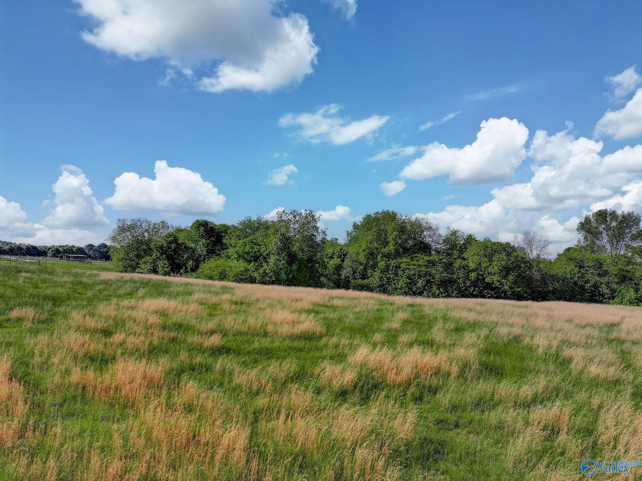 216 Hustleville Road