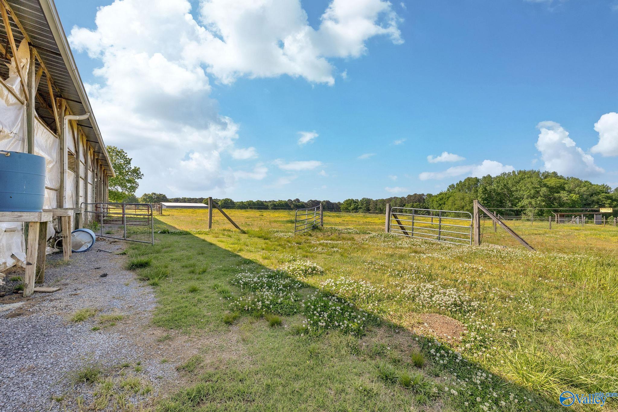 216 Hustleville Road