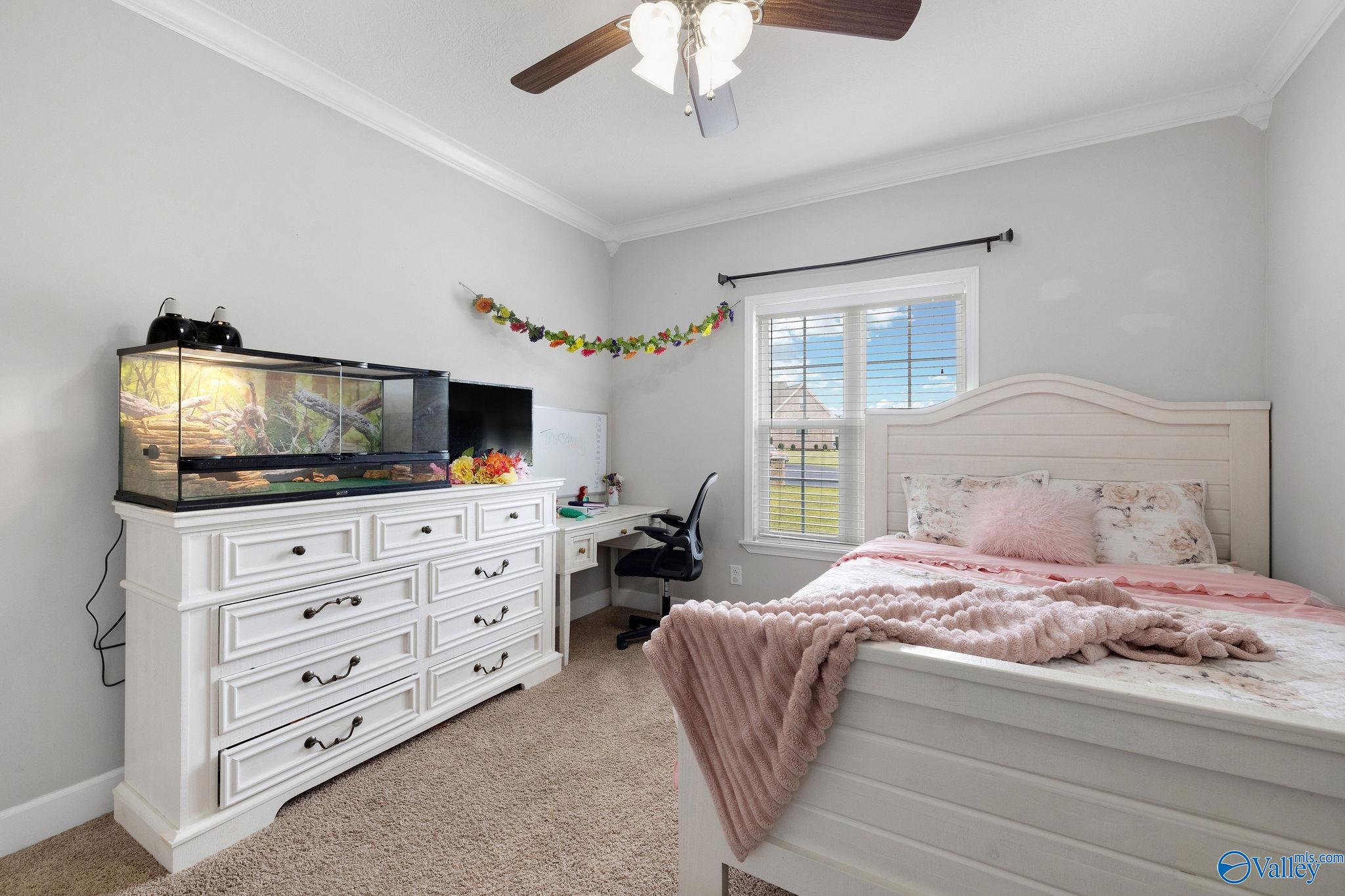 179 Timberline Drive