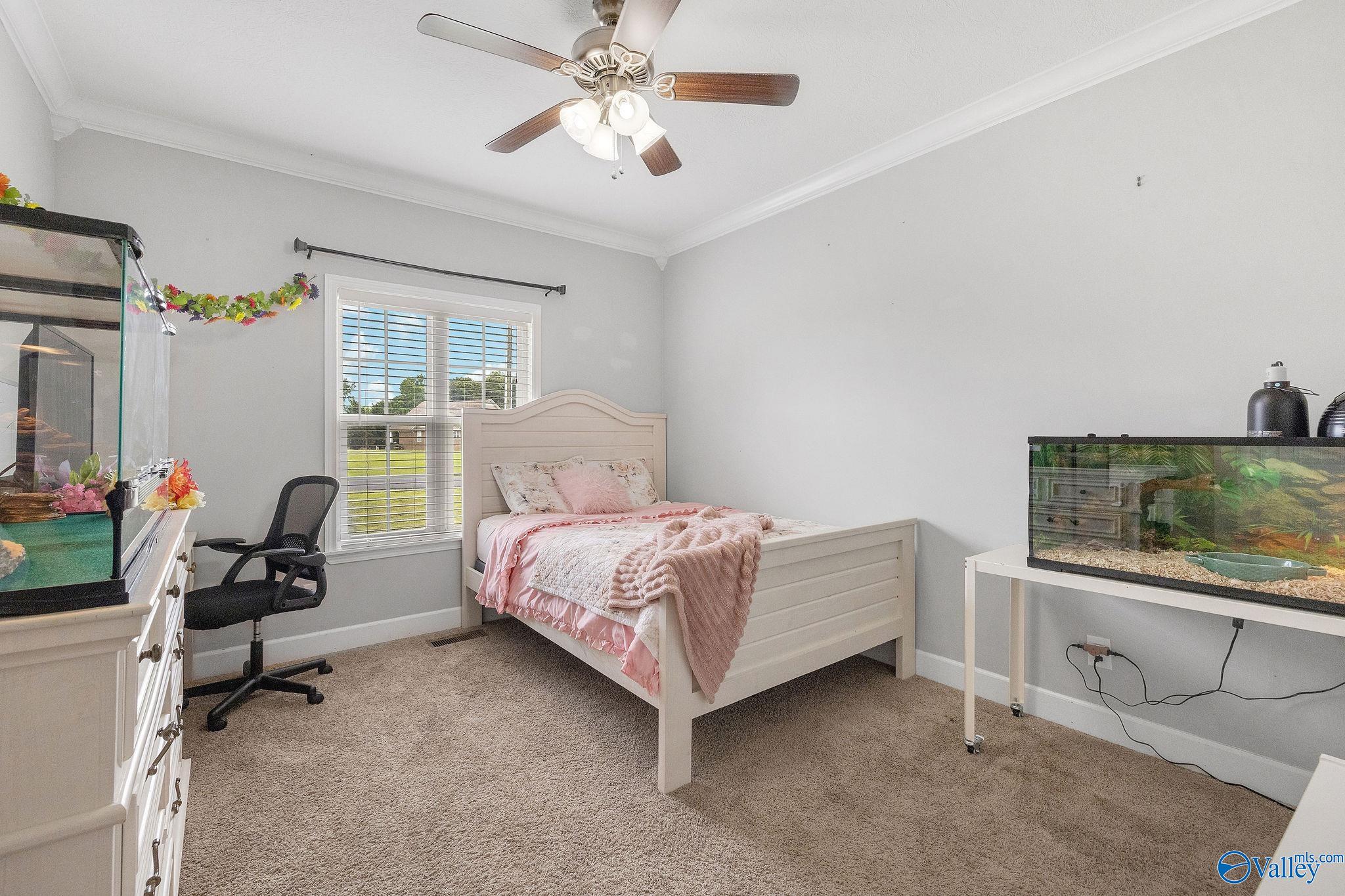 179 Timberline Drive