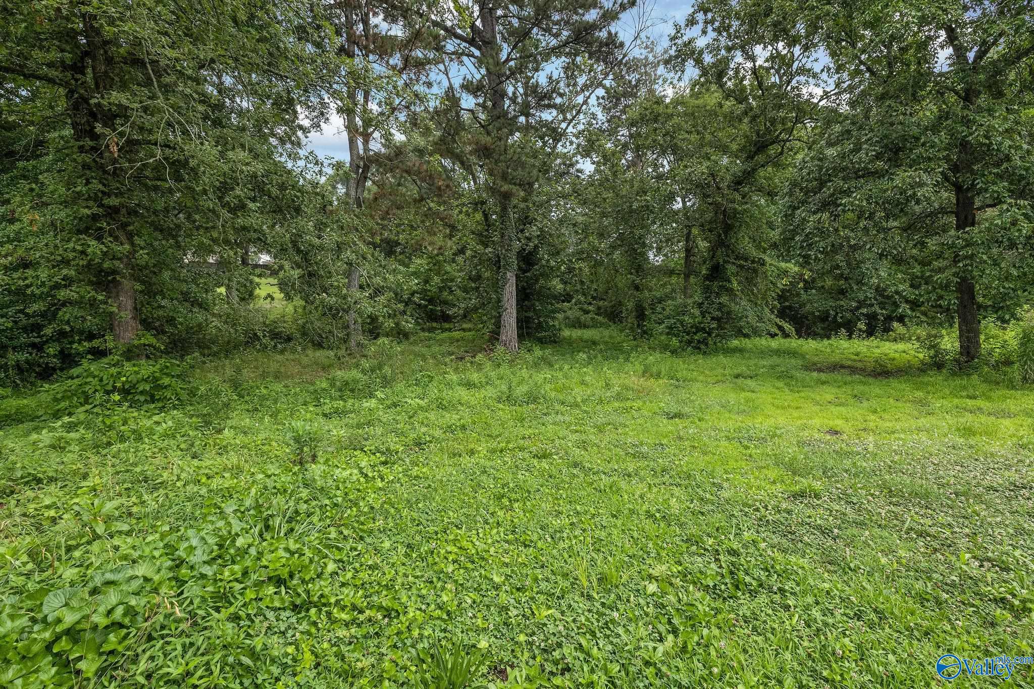 55 Blessing Road