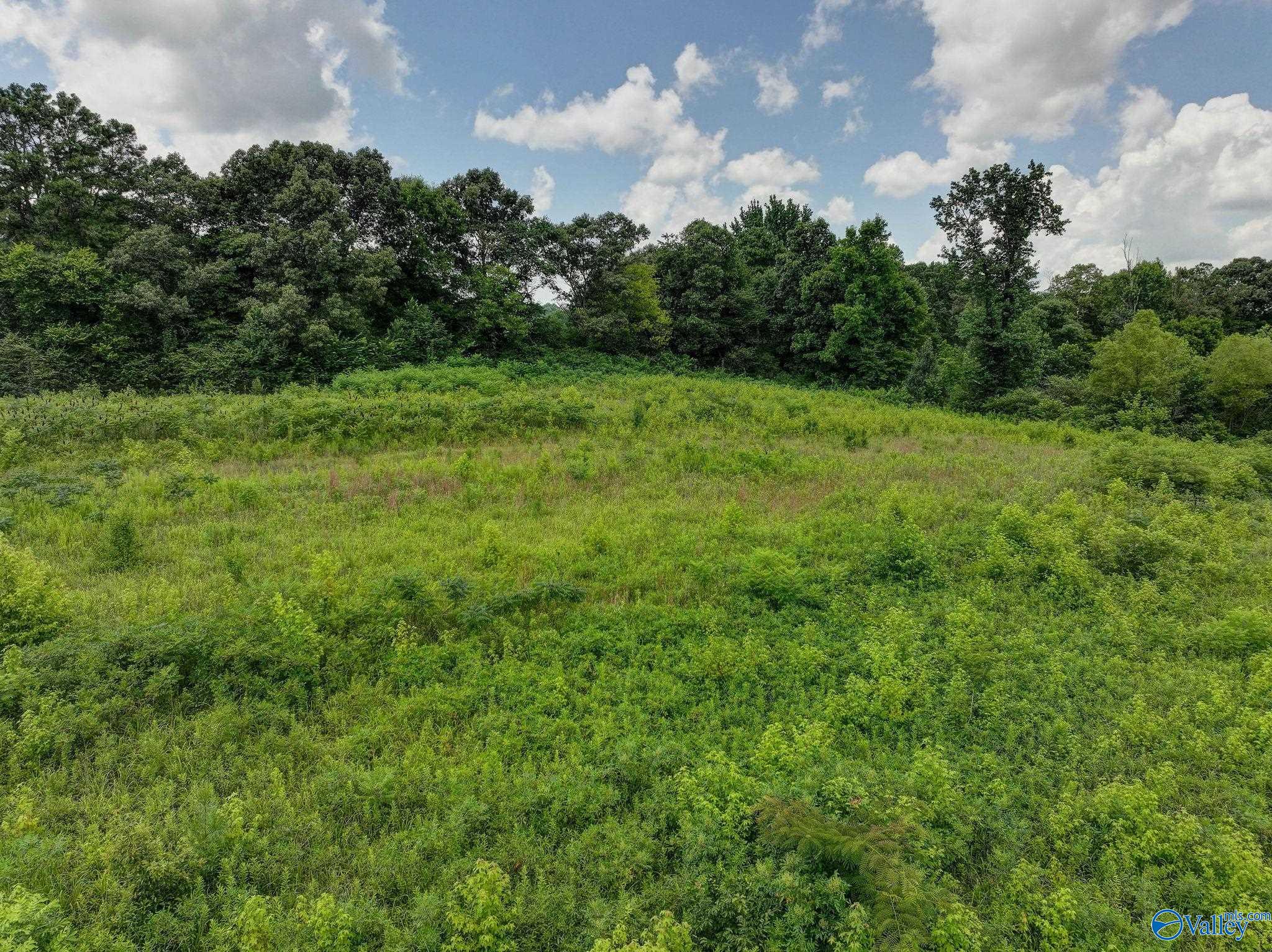 255 County Road 488
