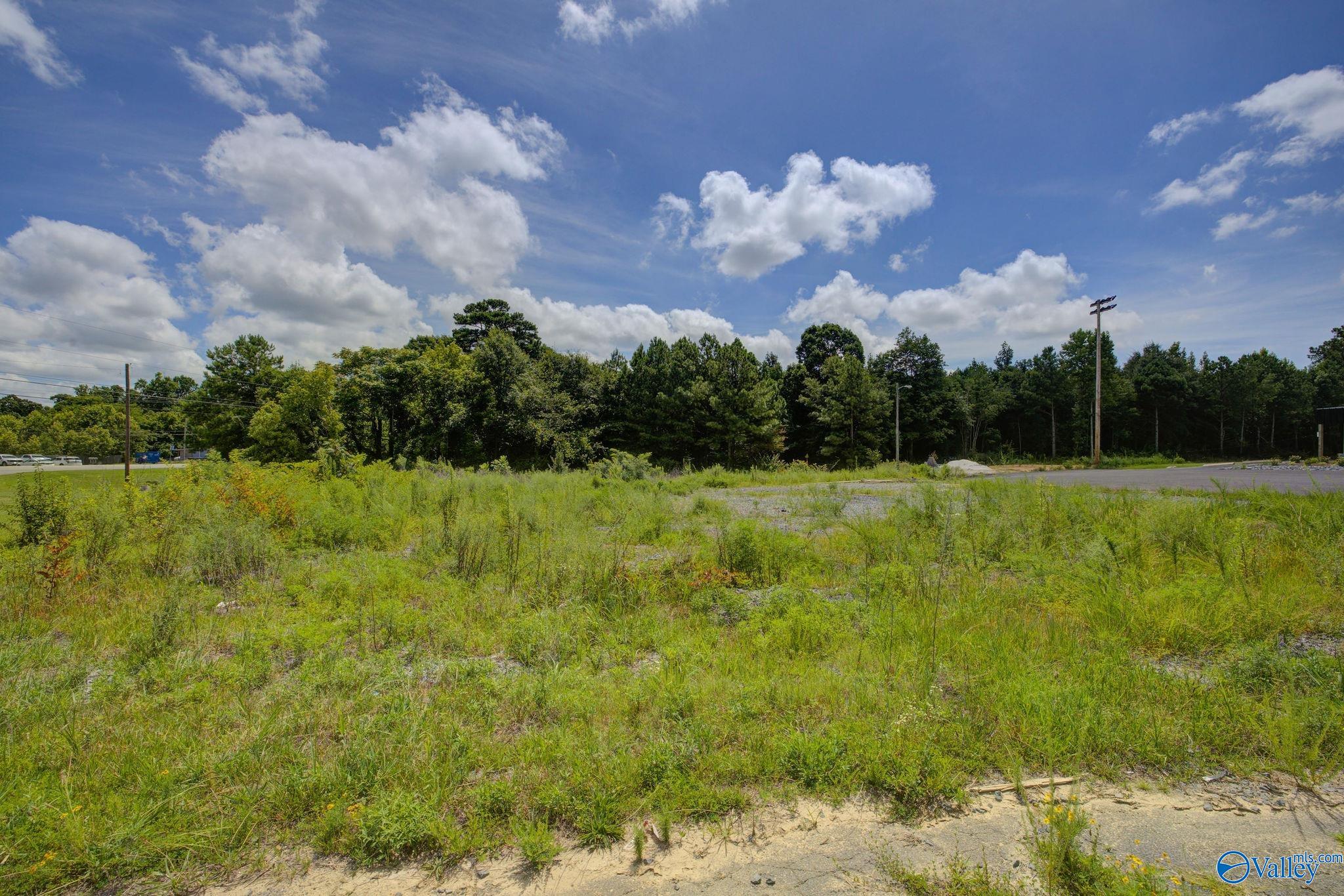 0.5 Acres J W Darnell Avenue