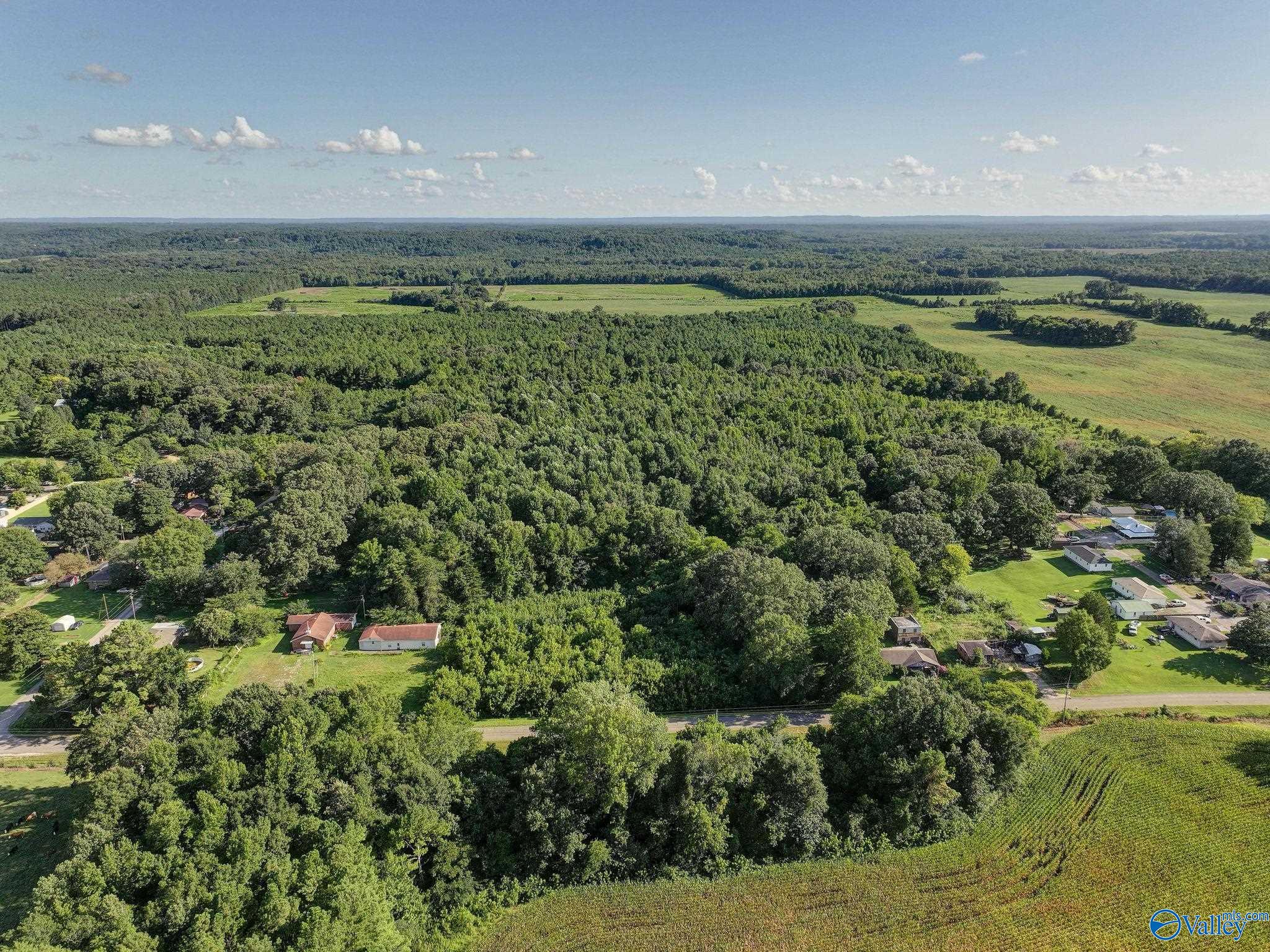 31 ACRES Cottontown Lane