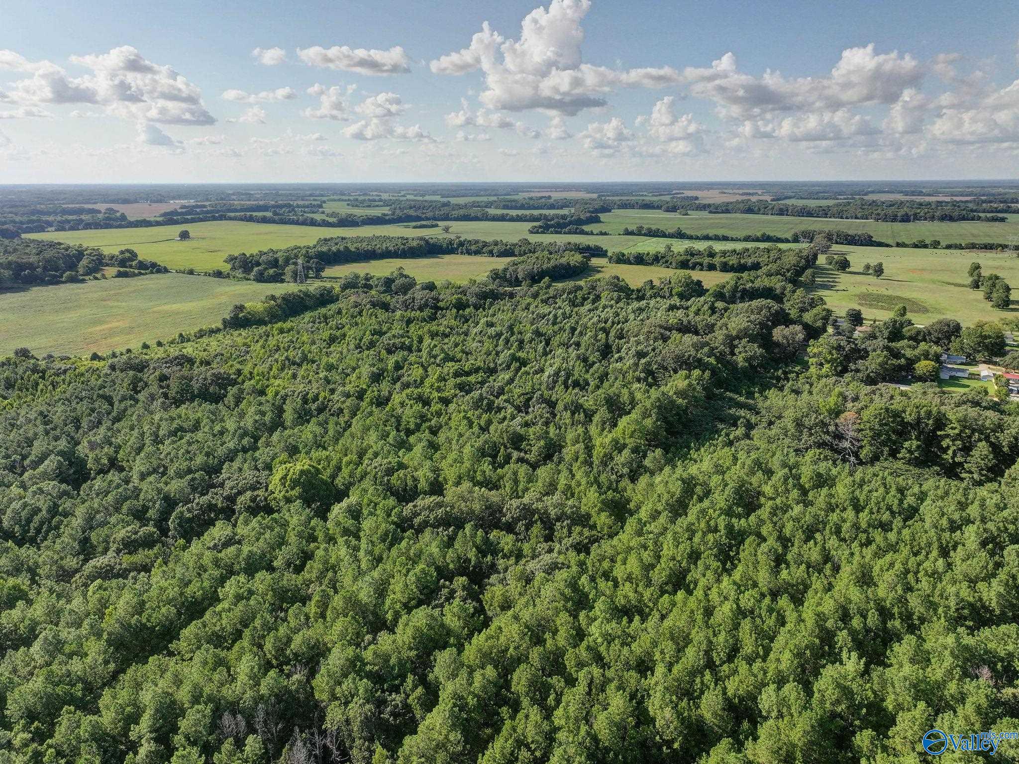 31 ACRES Cottontown Lane