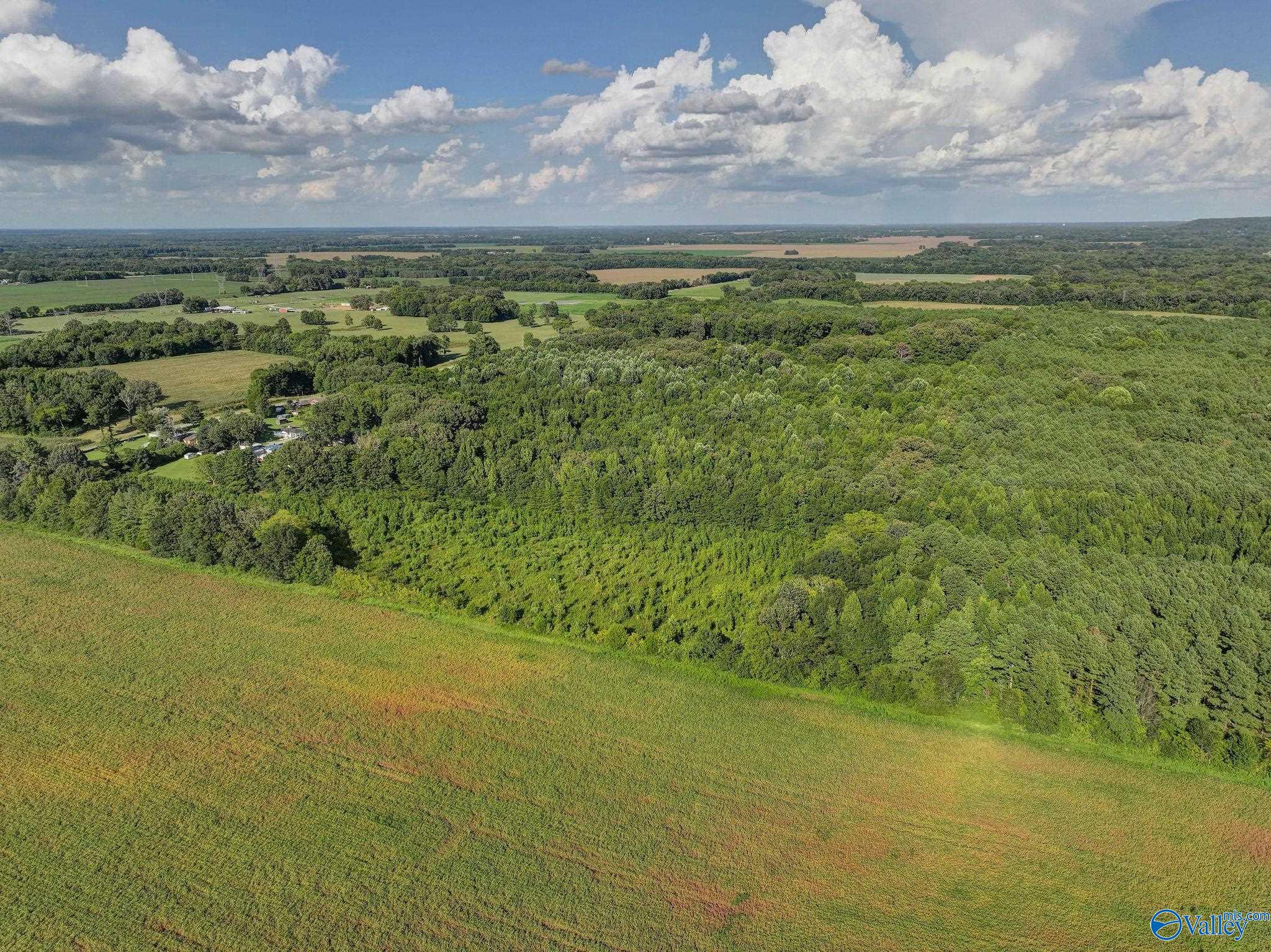 31 ACRES Cottontown Lane