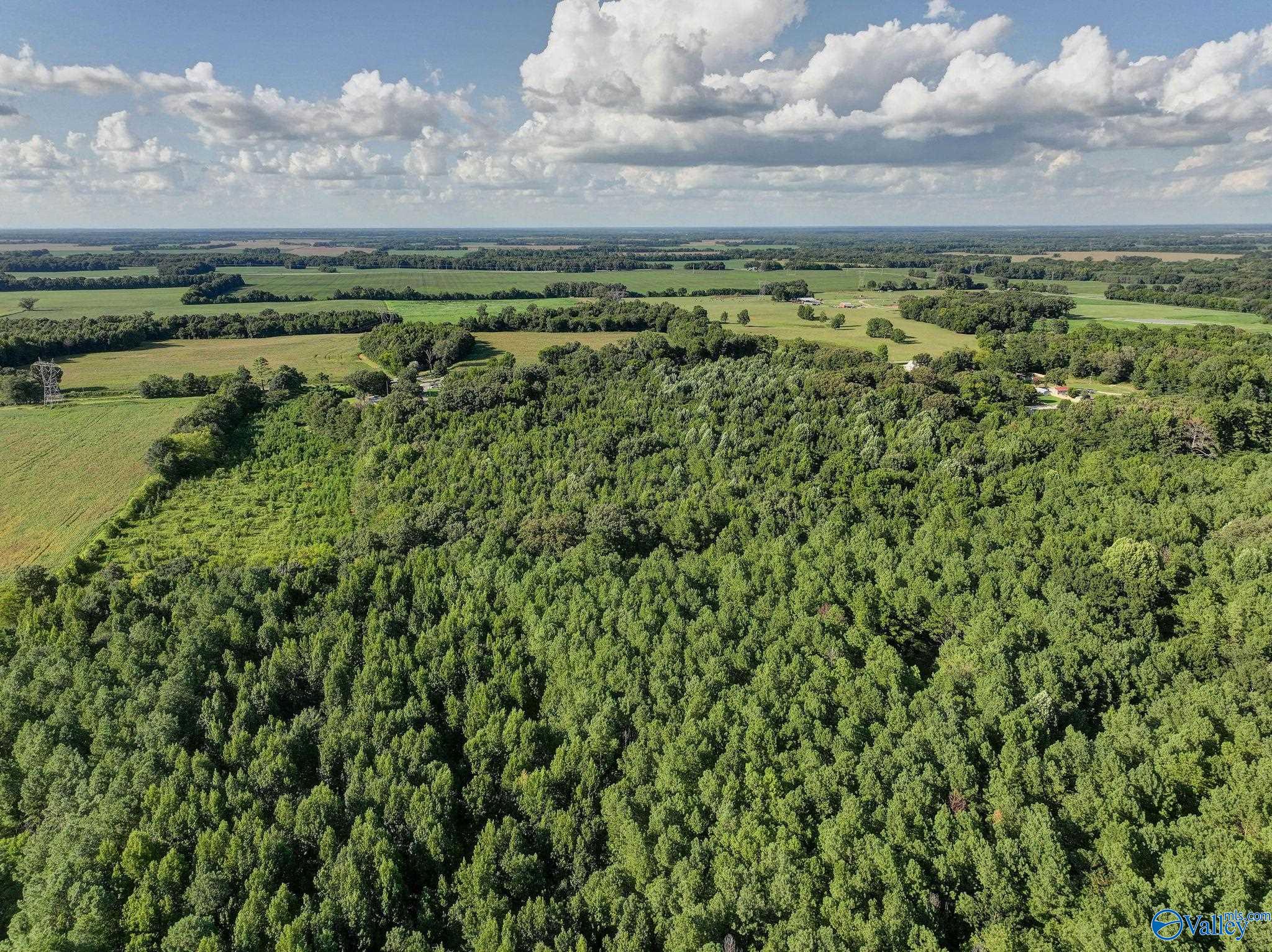 31 ACRES Cottontown Lane
