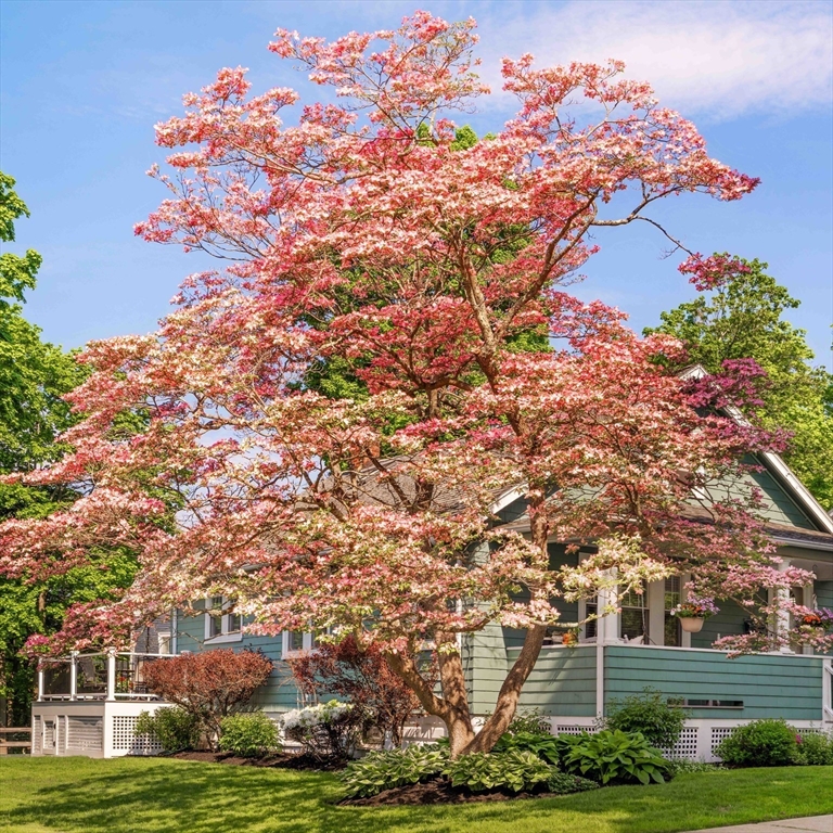 54 Endicott Rd