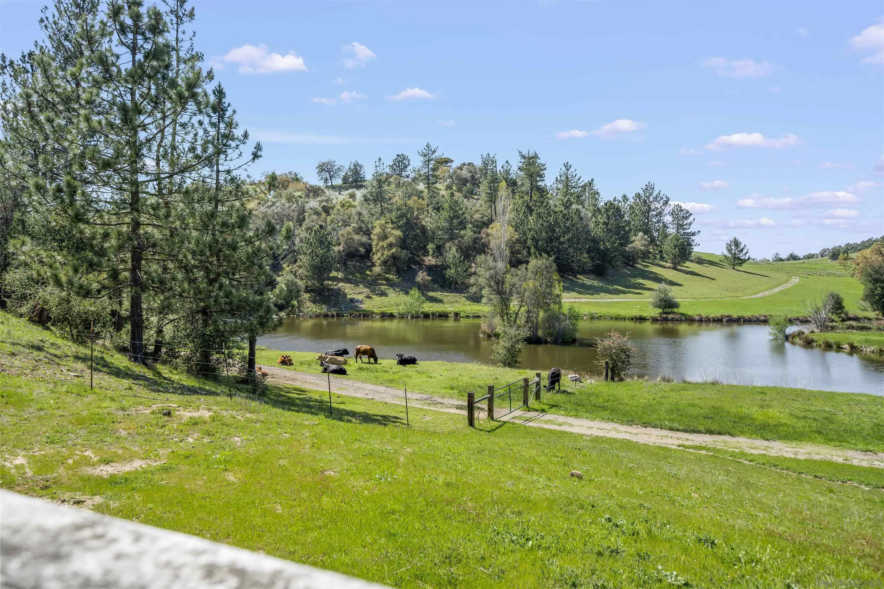 2464 Wynola Rd