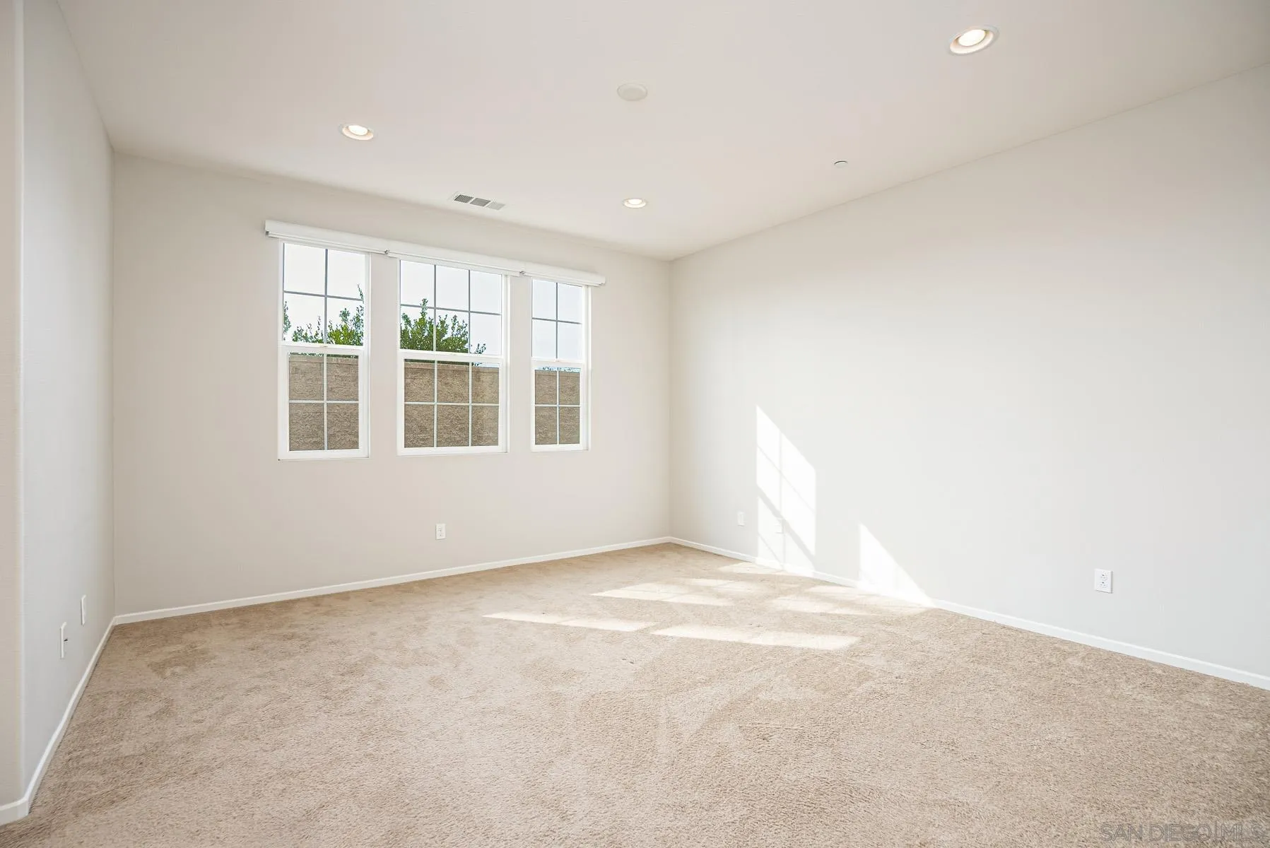 11355 Copperleaf