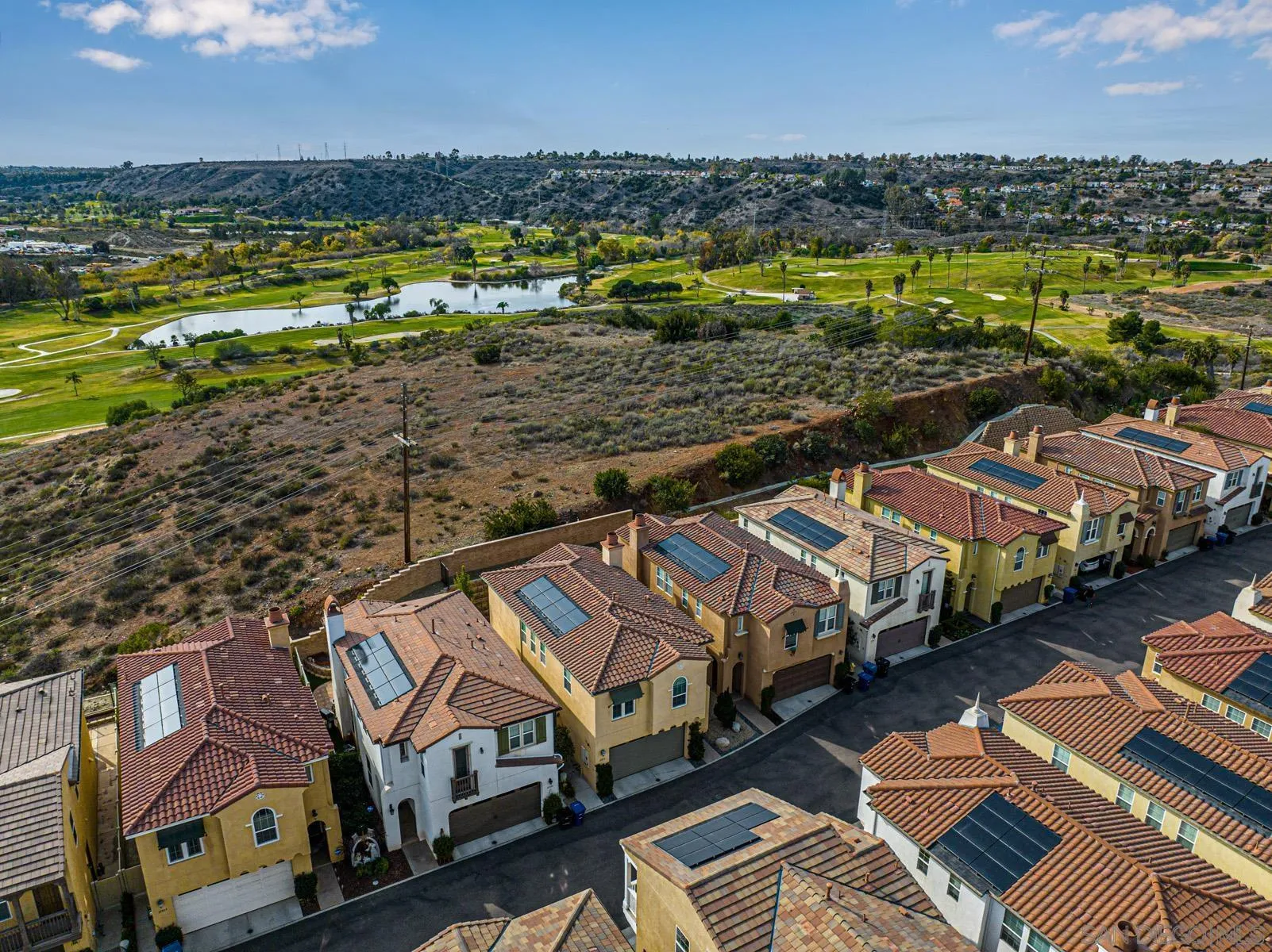 11355 Copperleaf