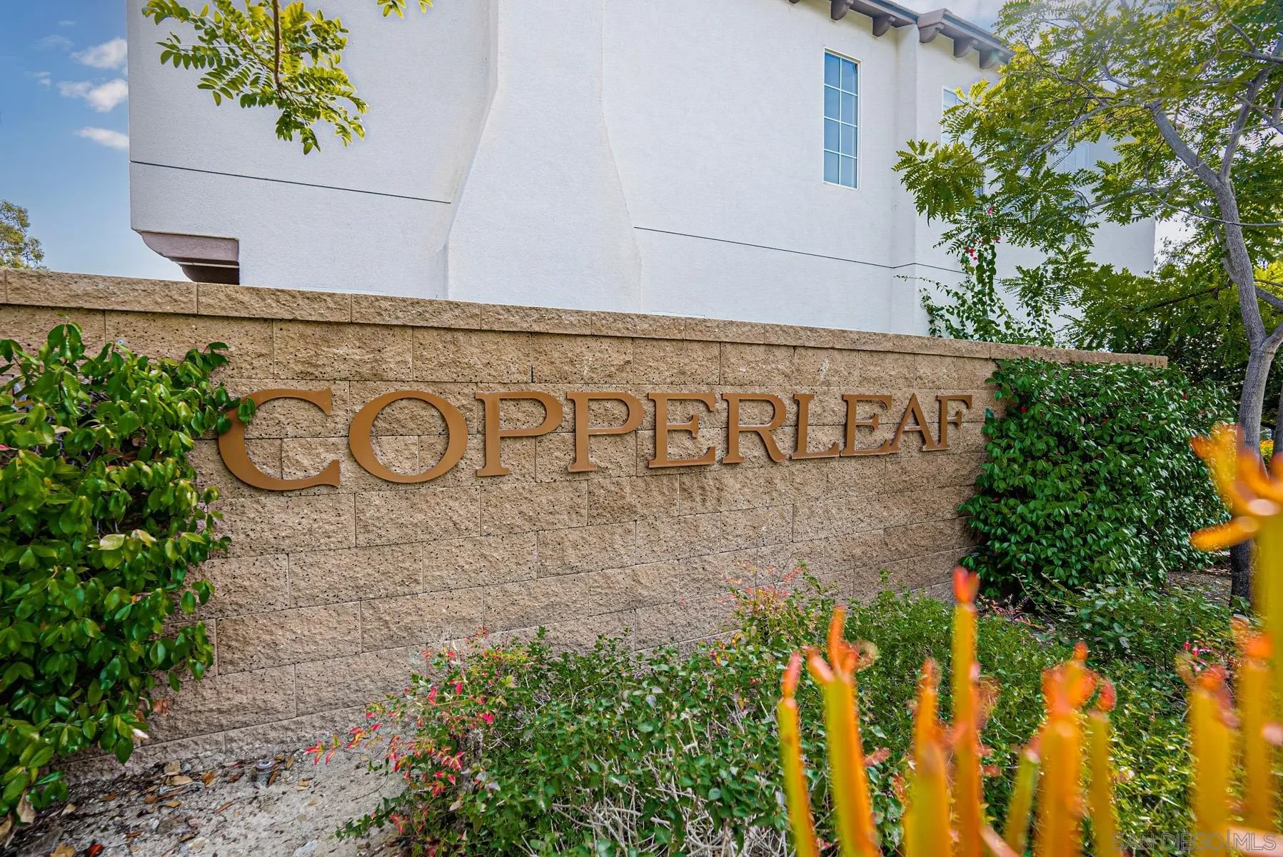 11355 Copperleaf