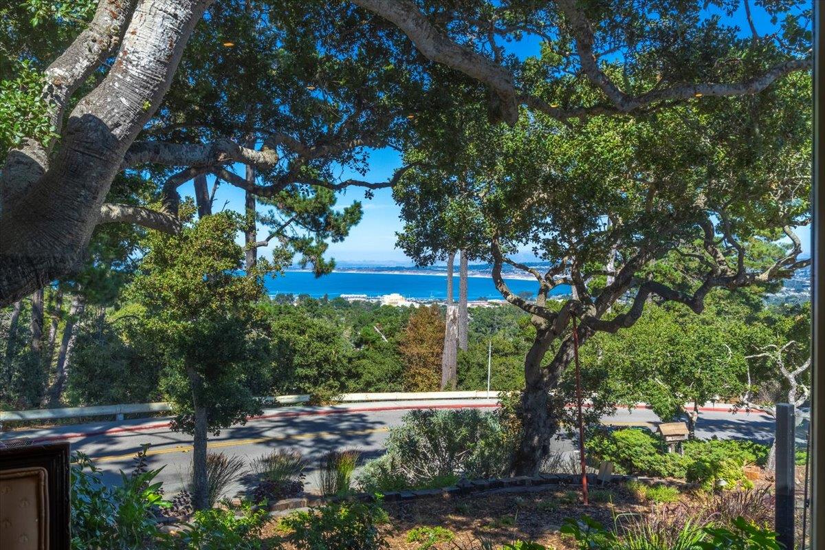 5 Walter Colton DR
