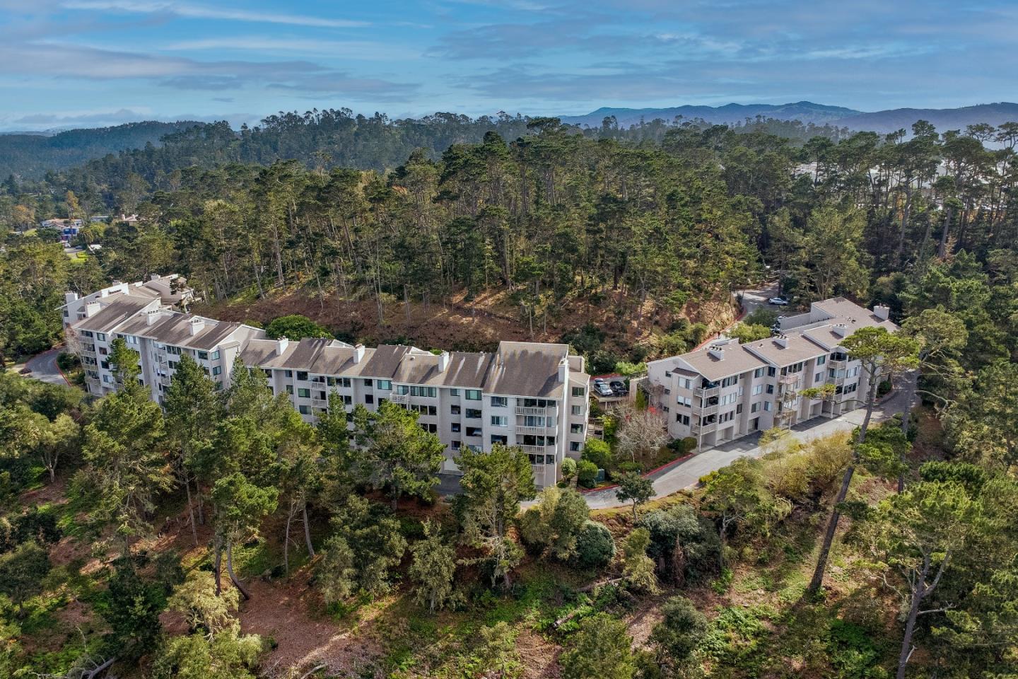 Residential buildings among pine trees, with forested hills in the distance.