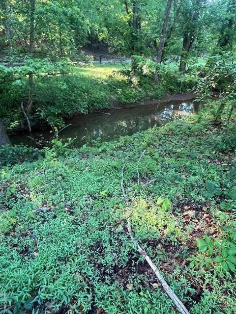 1 Summercreek Drive